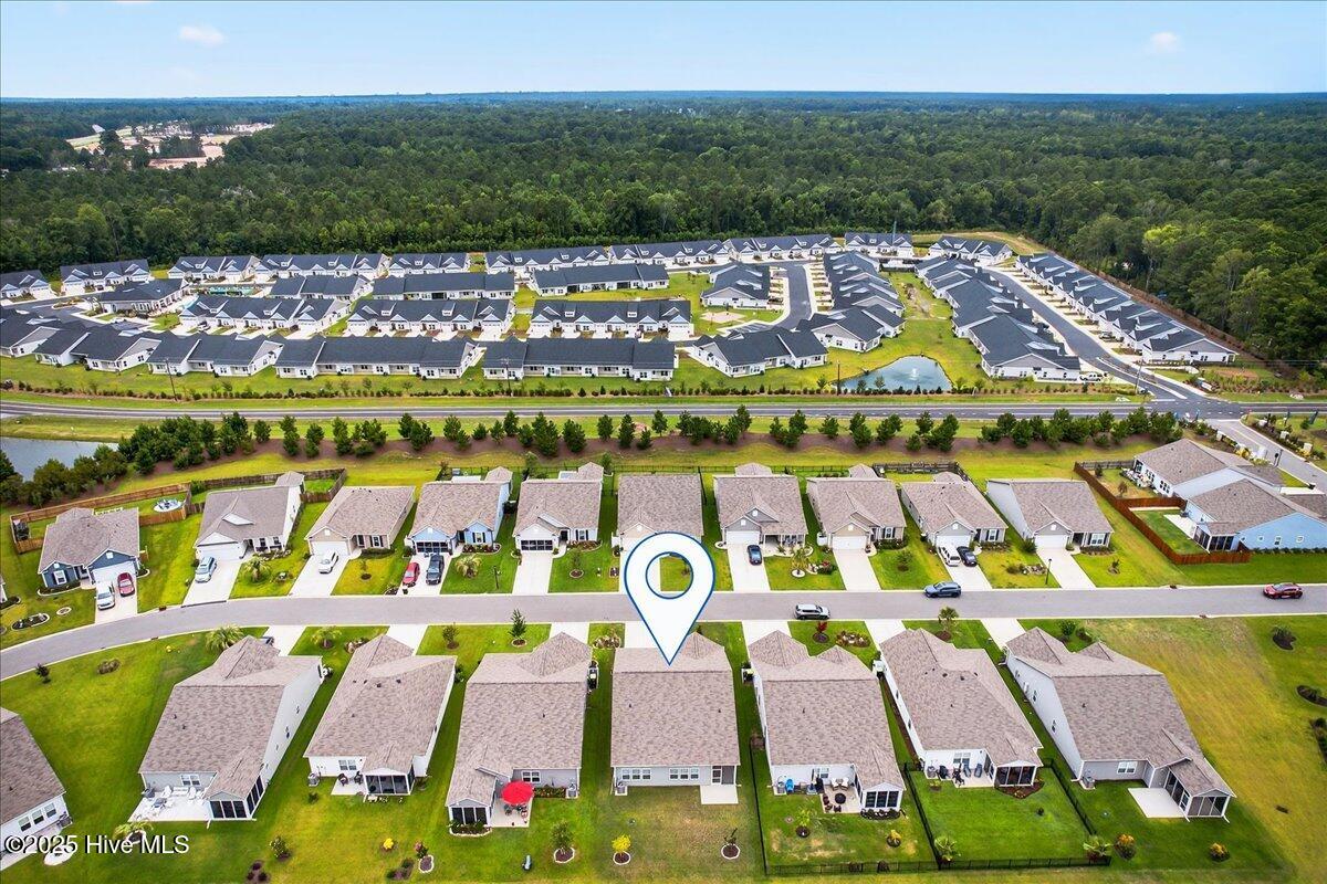 100522416 | Photo 62