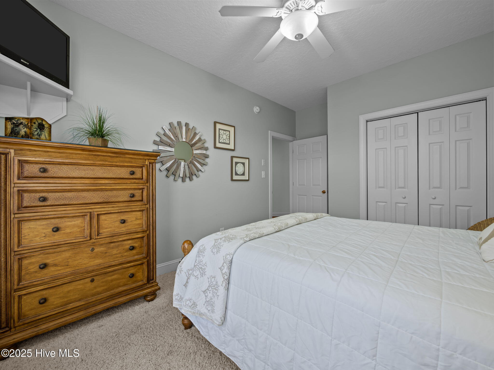 100541168 | Photo 24