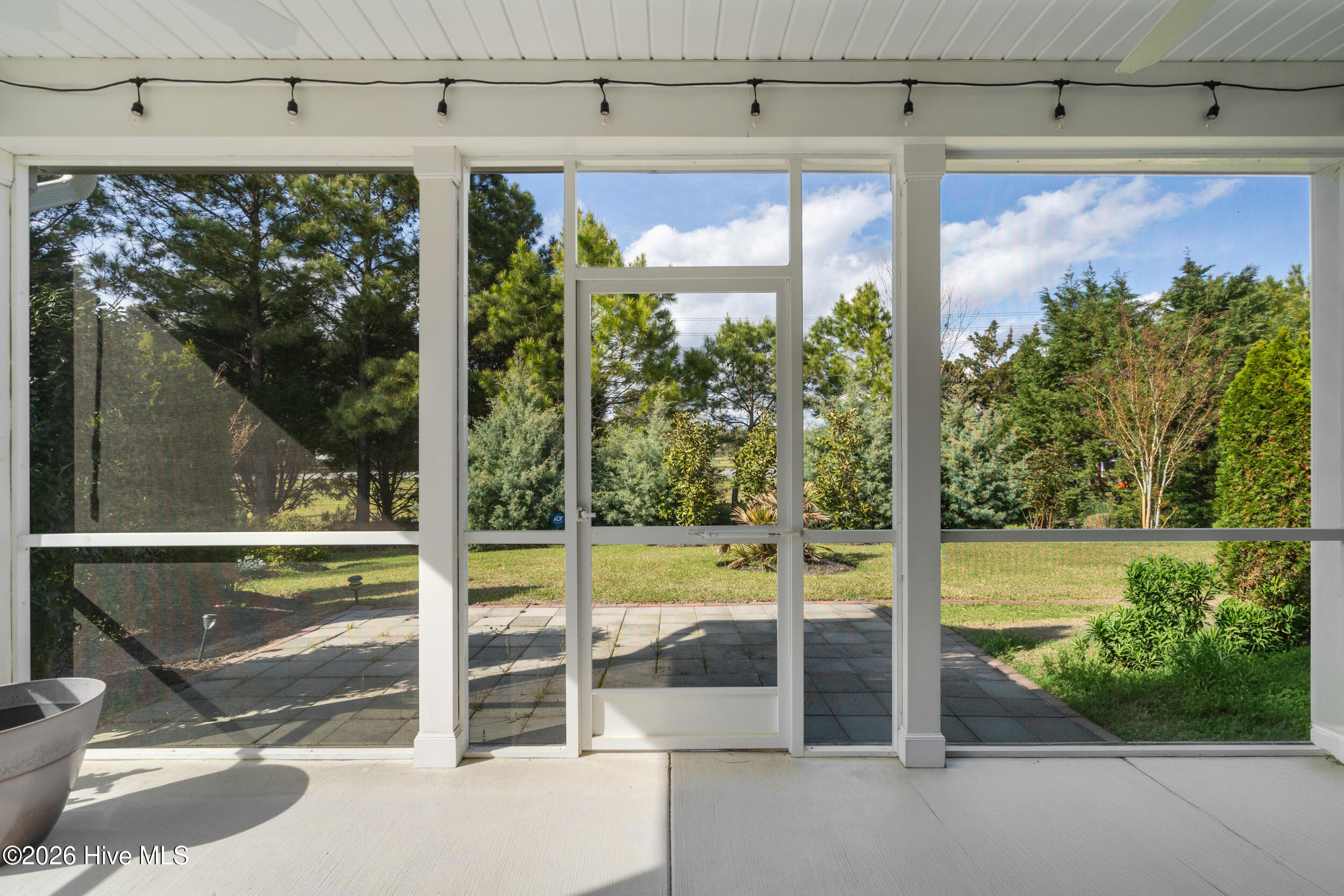 100563305 | Photo 31