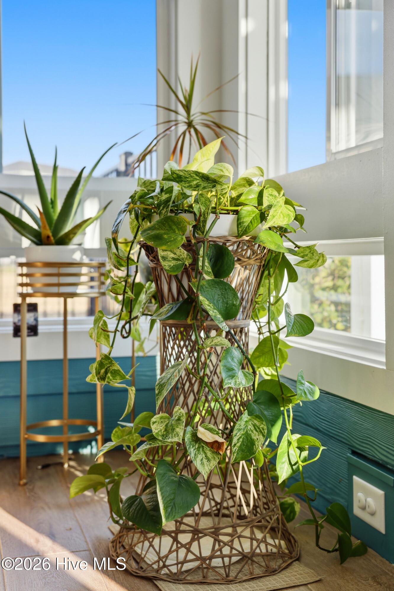 100562298 | Photo 47