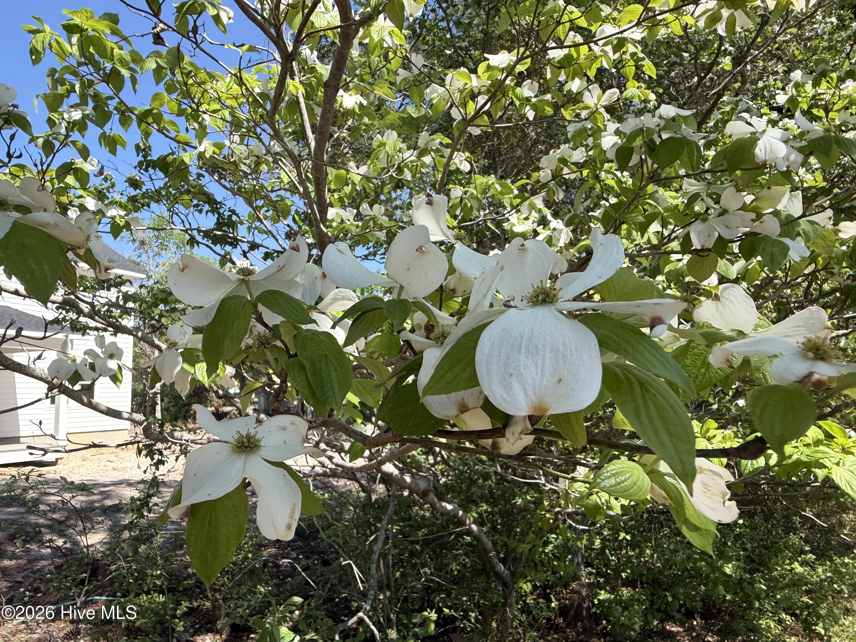 100568393 | Photo 24