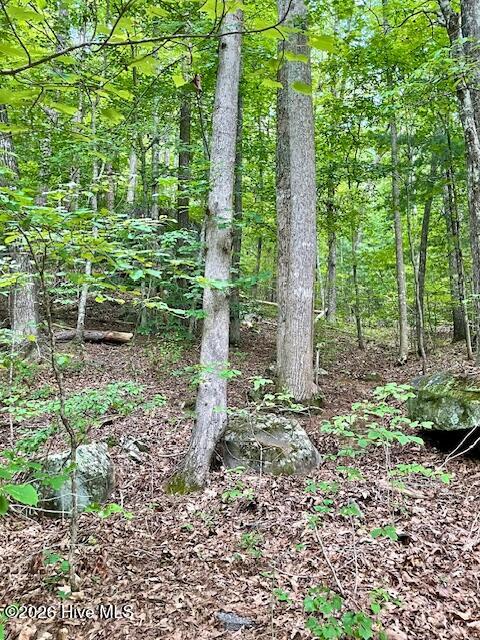image4