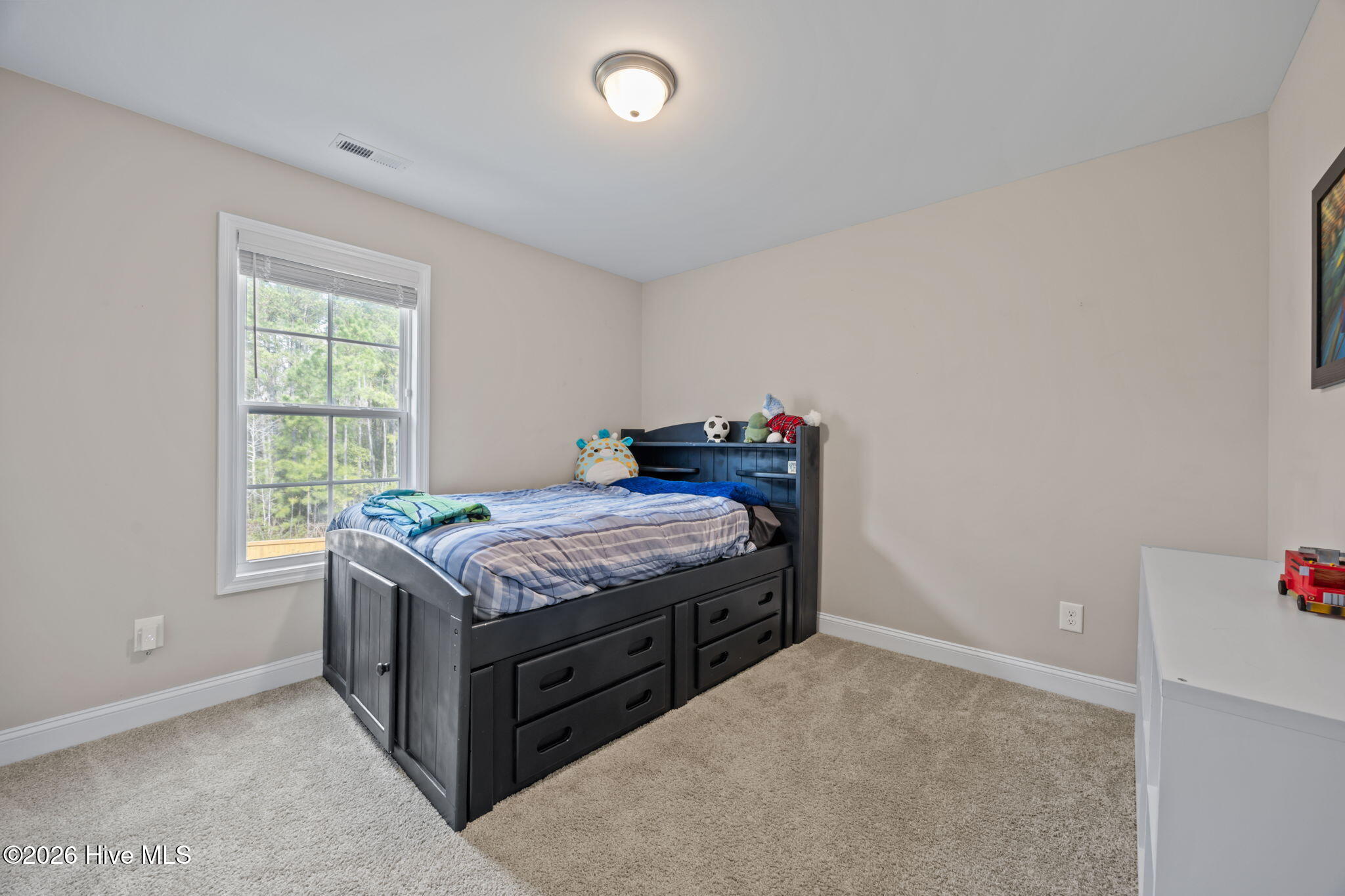 100561827 | Photo 33