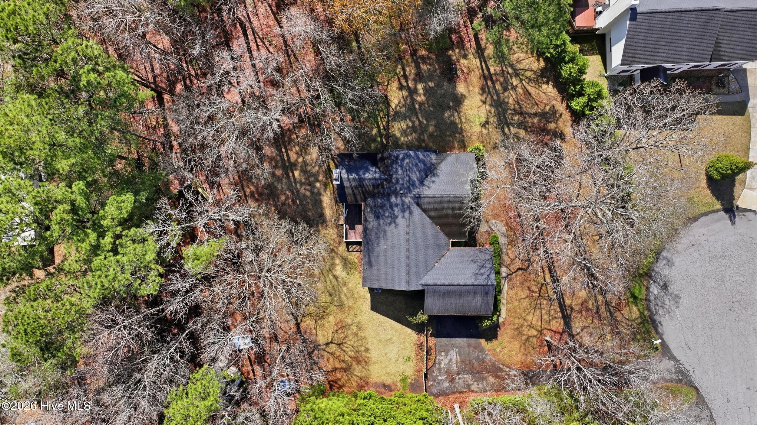 100559678 | Photo 33