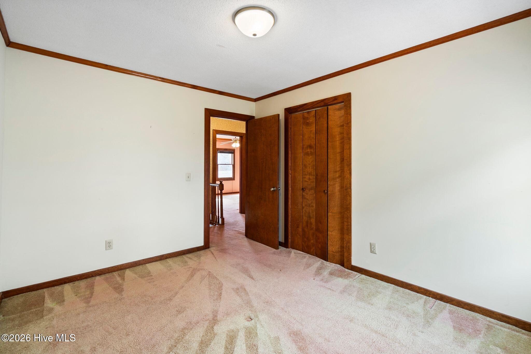 100555910 | Photo 32