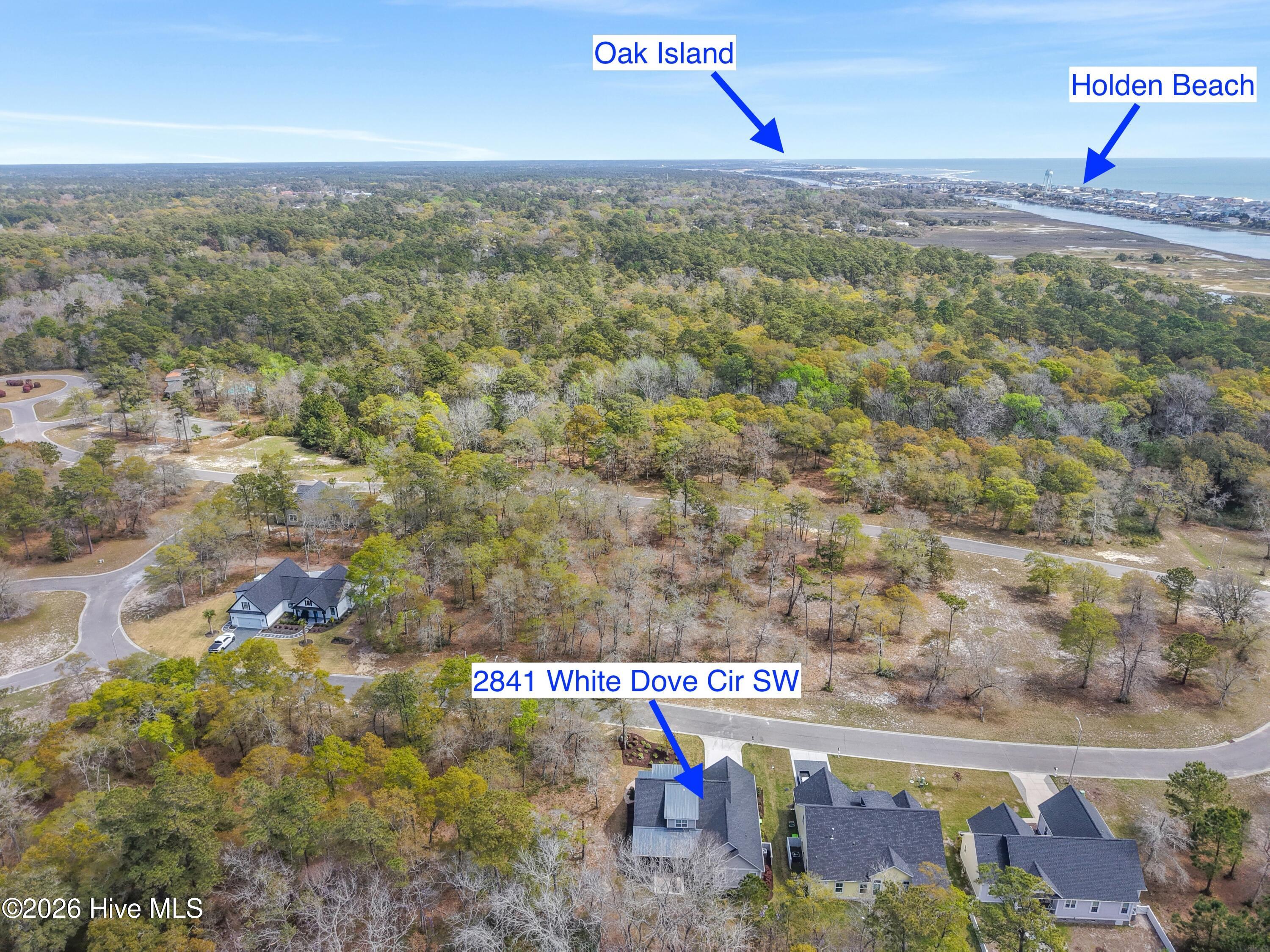 100565017 | Photo 74