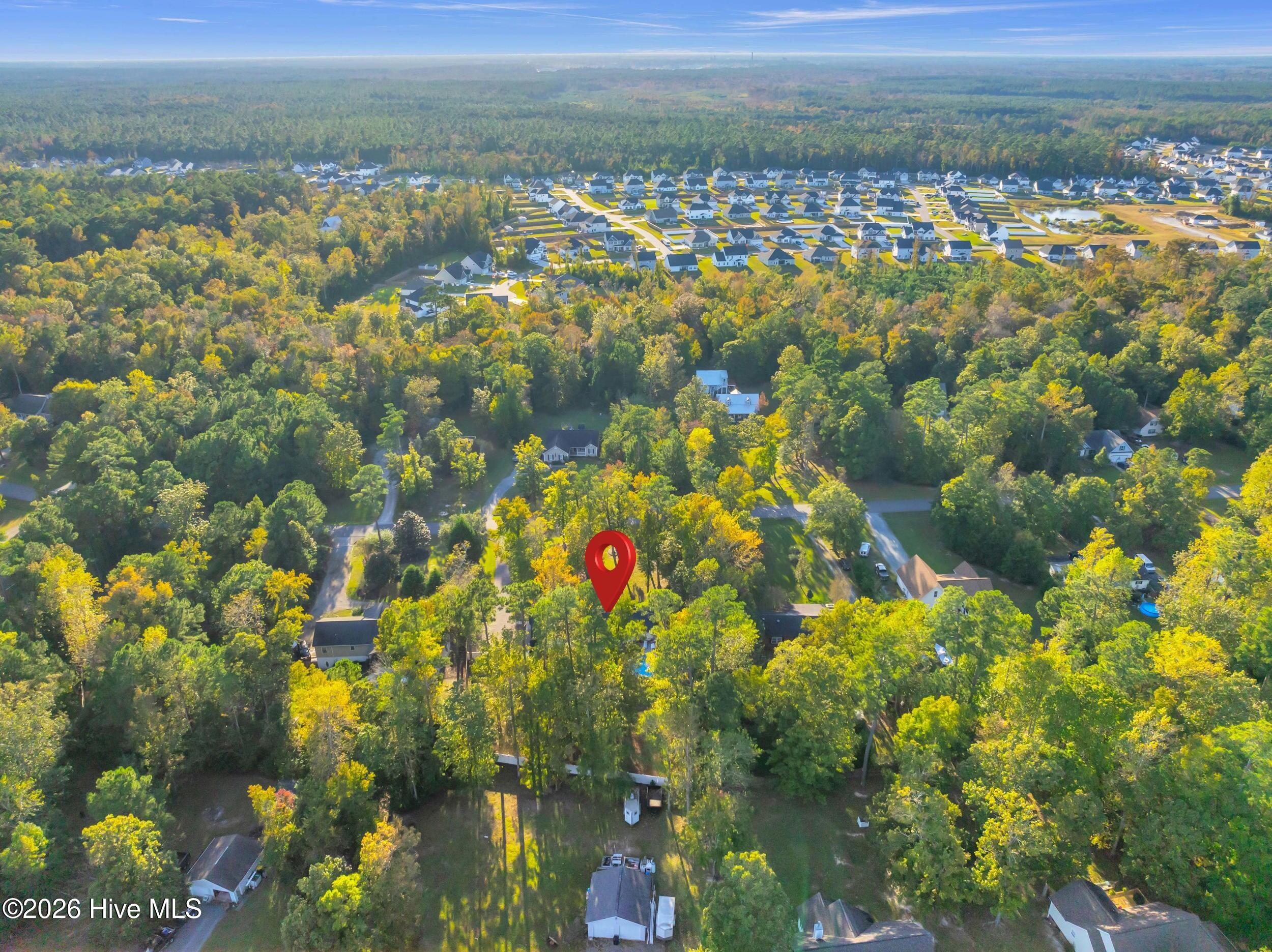 100562256 | Photo 49