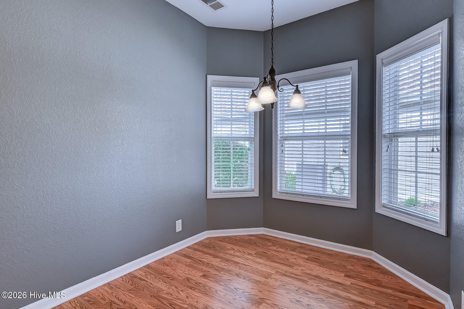 100563613 | Photo 28