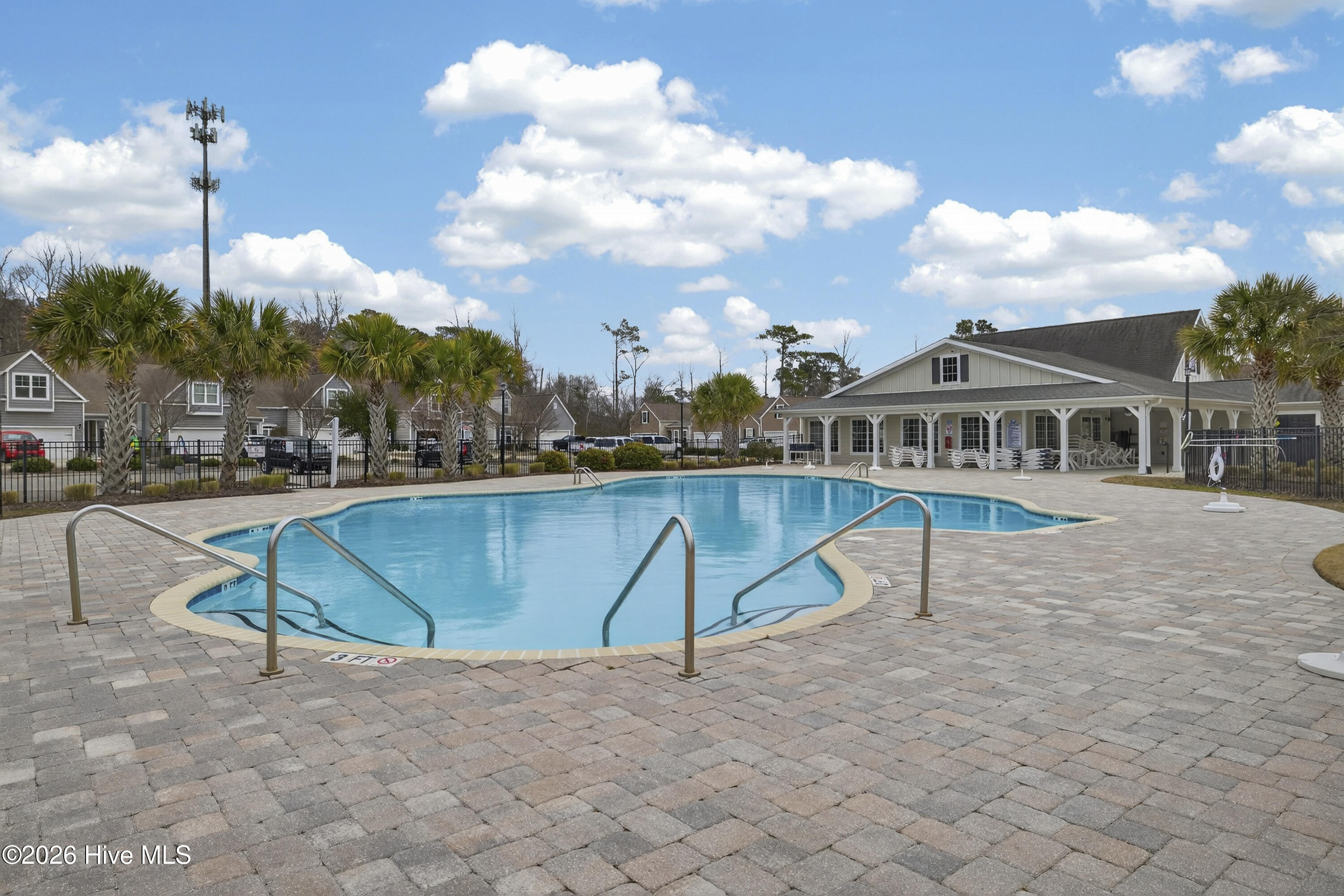 100558263 | Photo 48