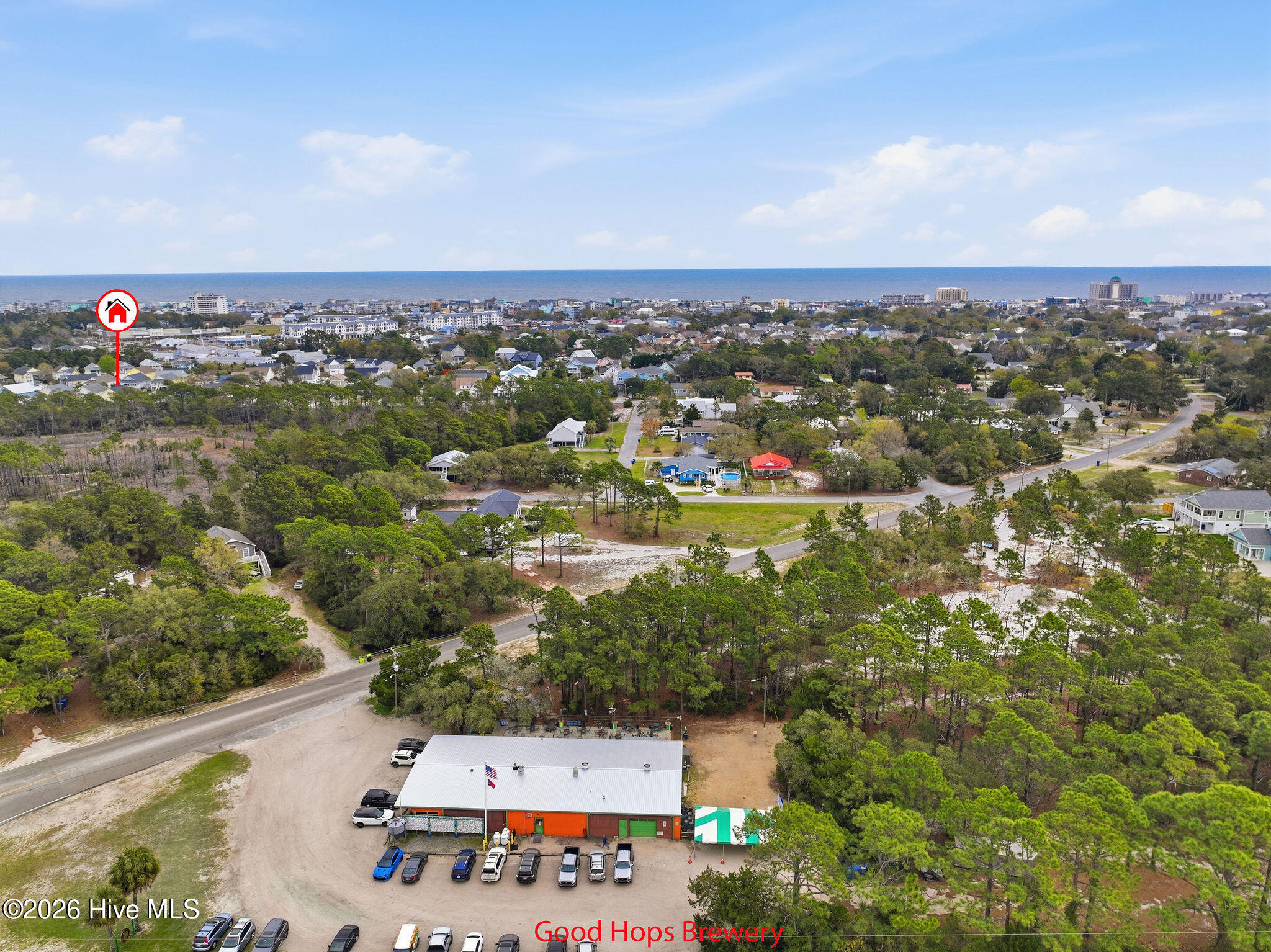 100562834 | Photo 45