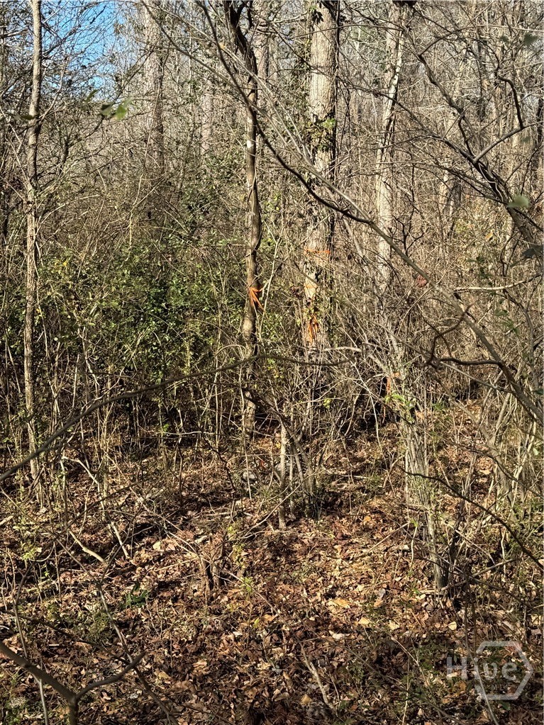 738 Old Mineral Springs Road, Elberton, GA, 30635