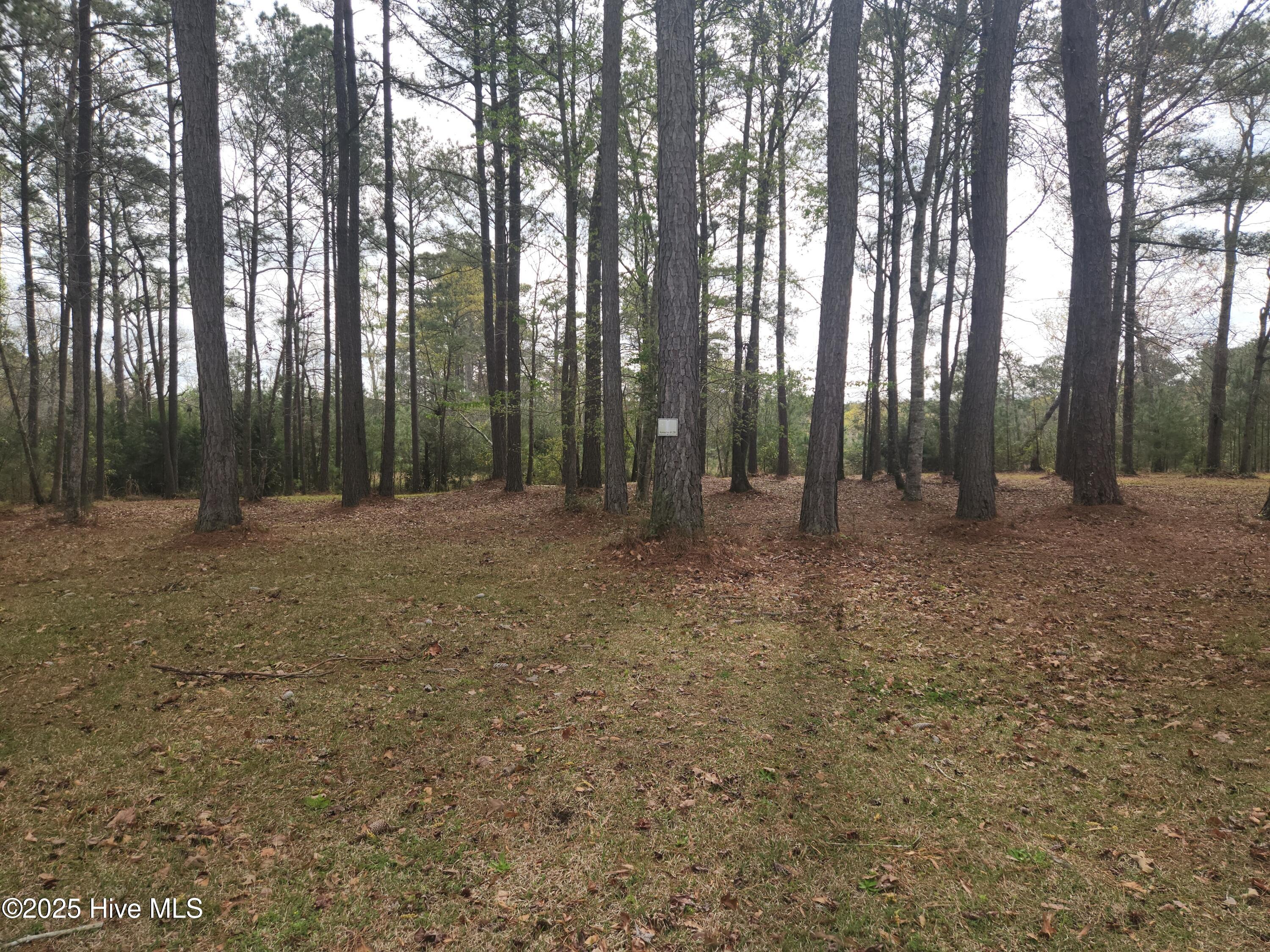 Center of Lot 219 Dawson Creek