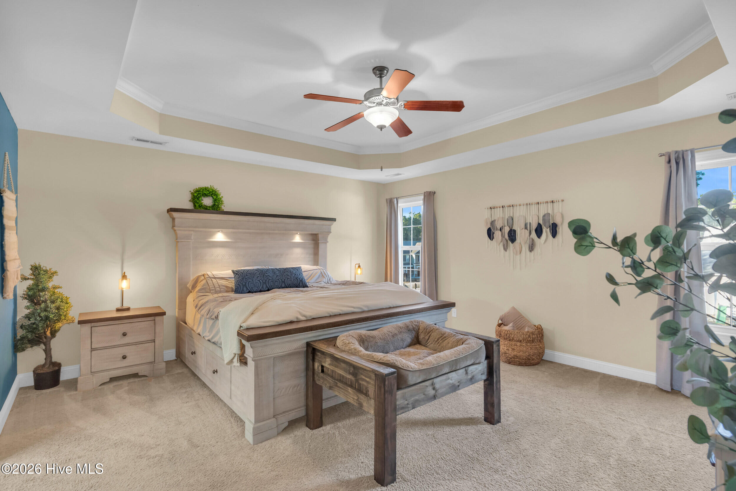 100556499 | Photo 18