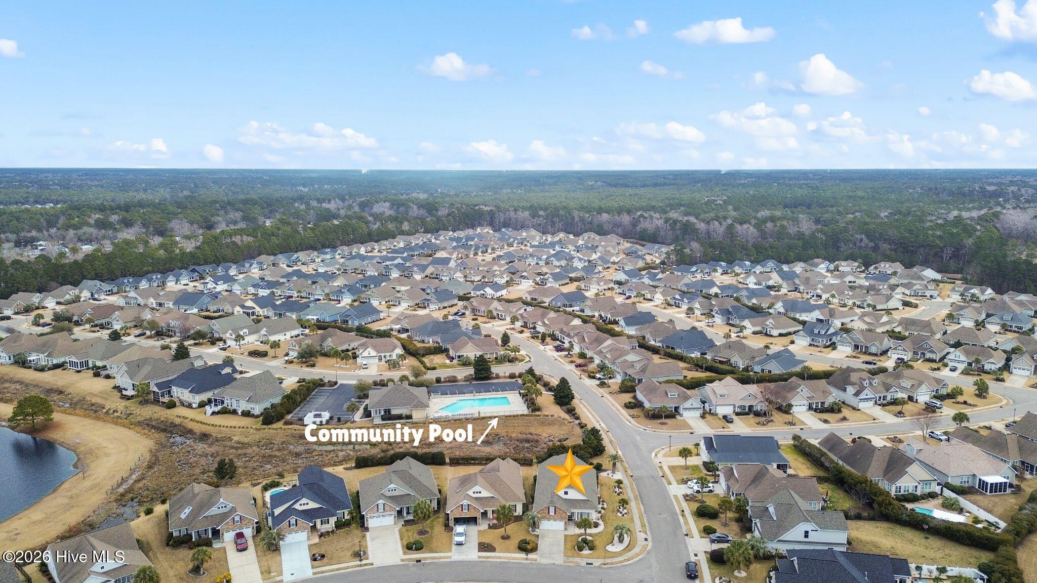 100554083 | Photo 44