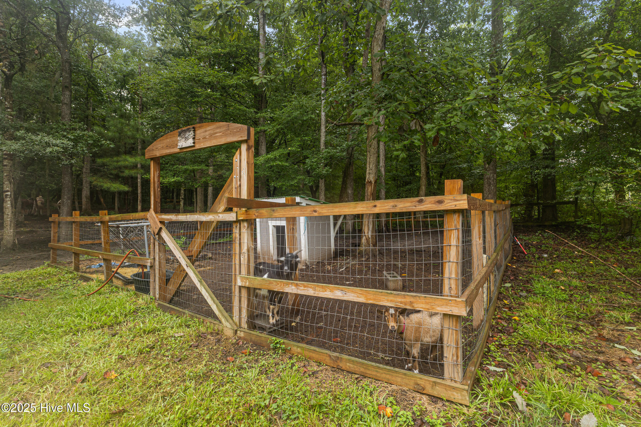 100524507 | Photo 34