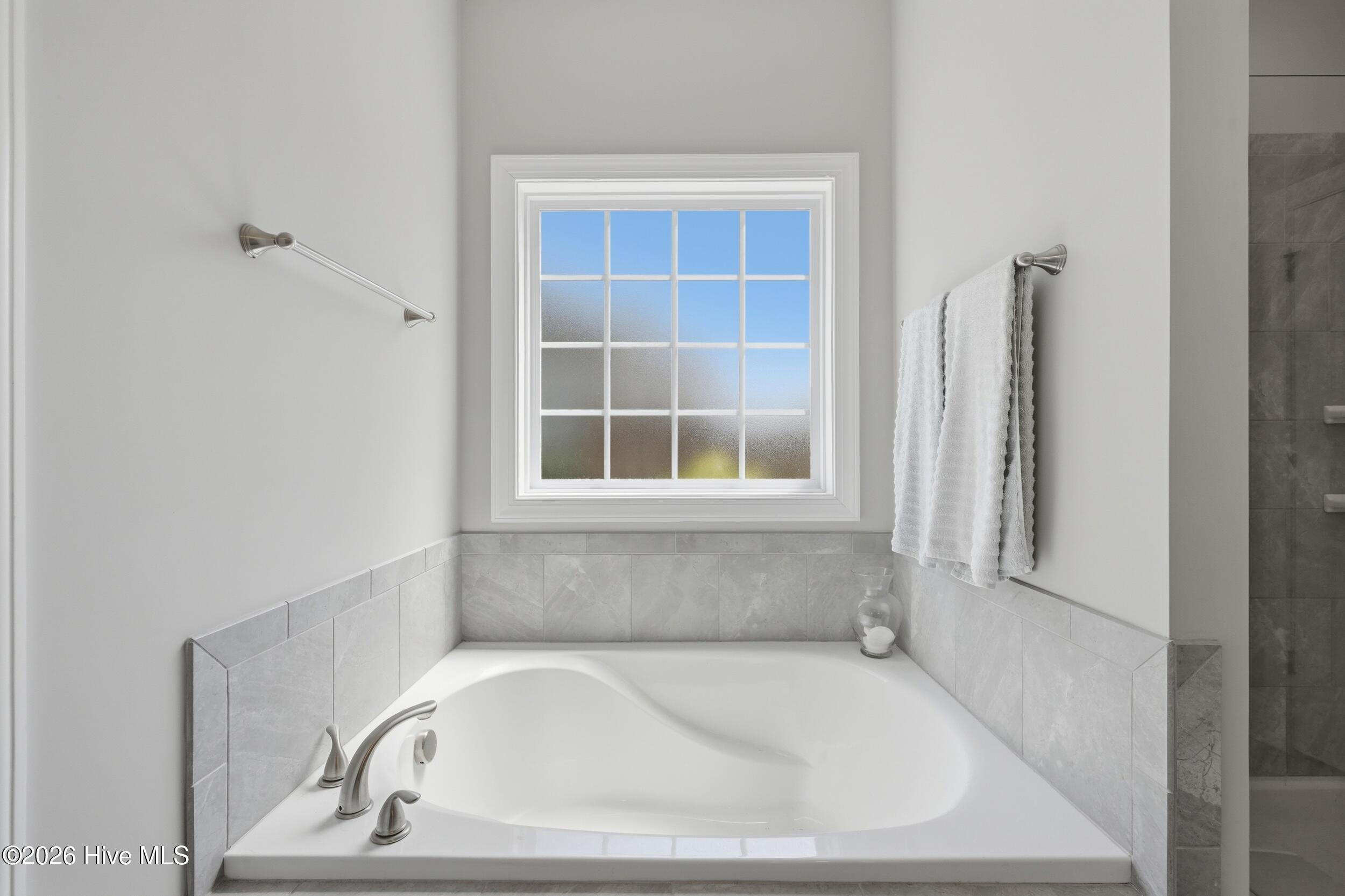 100570242 | Photo 23