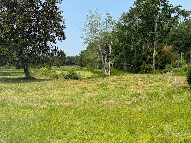 Homes for sale in Townsend, GA | 0 Us Hwy 17 Hwy, Townsend, GA 31331 | MLS# SA327199