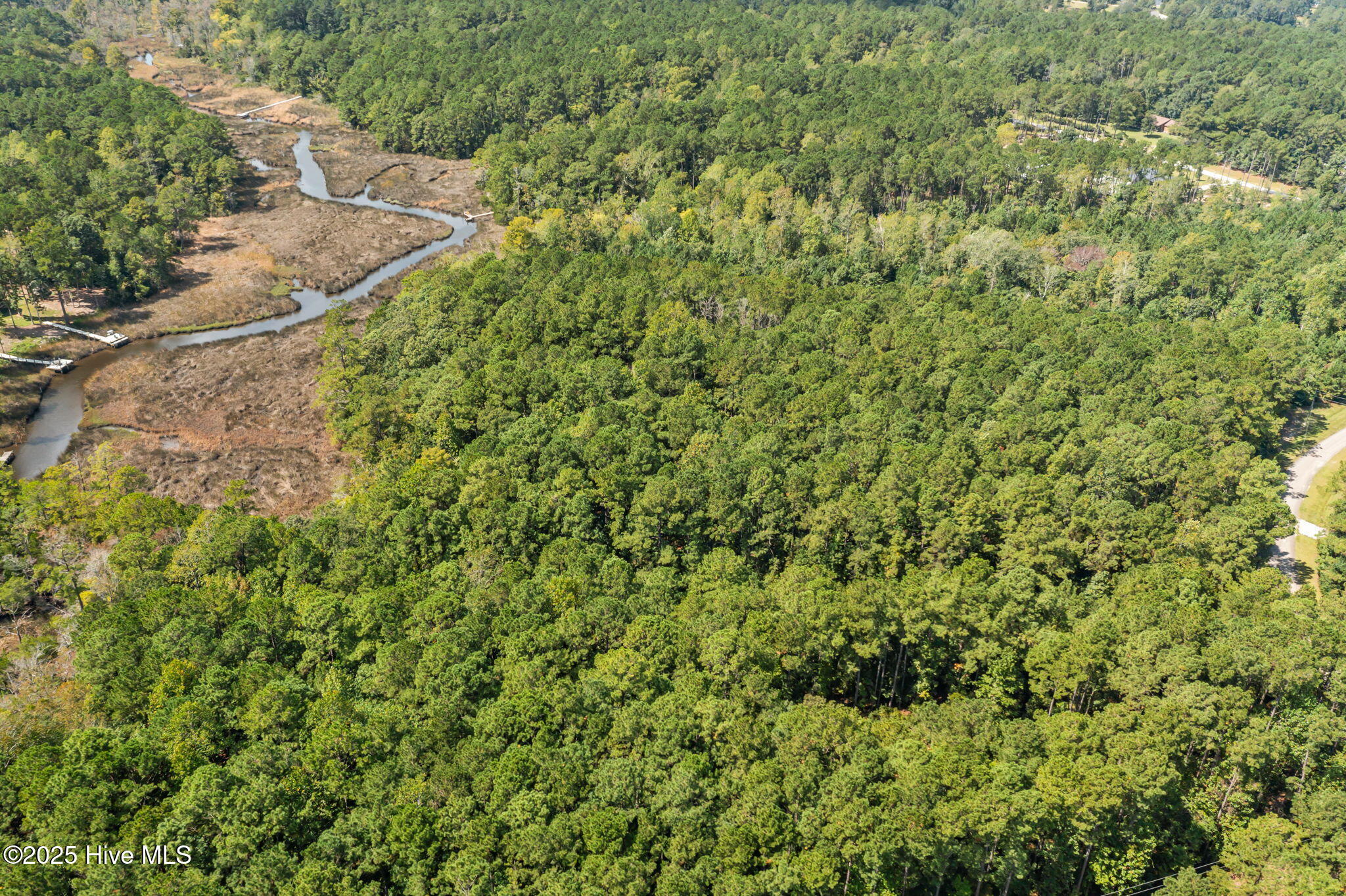 100535245 | Photo 16