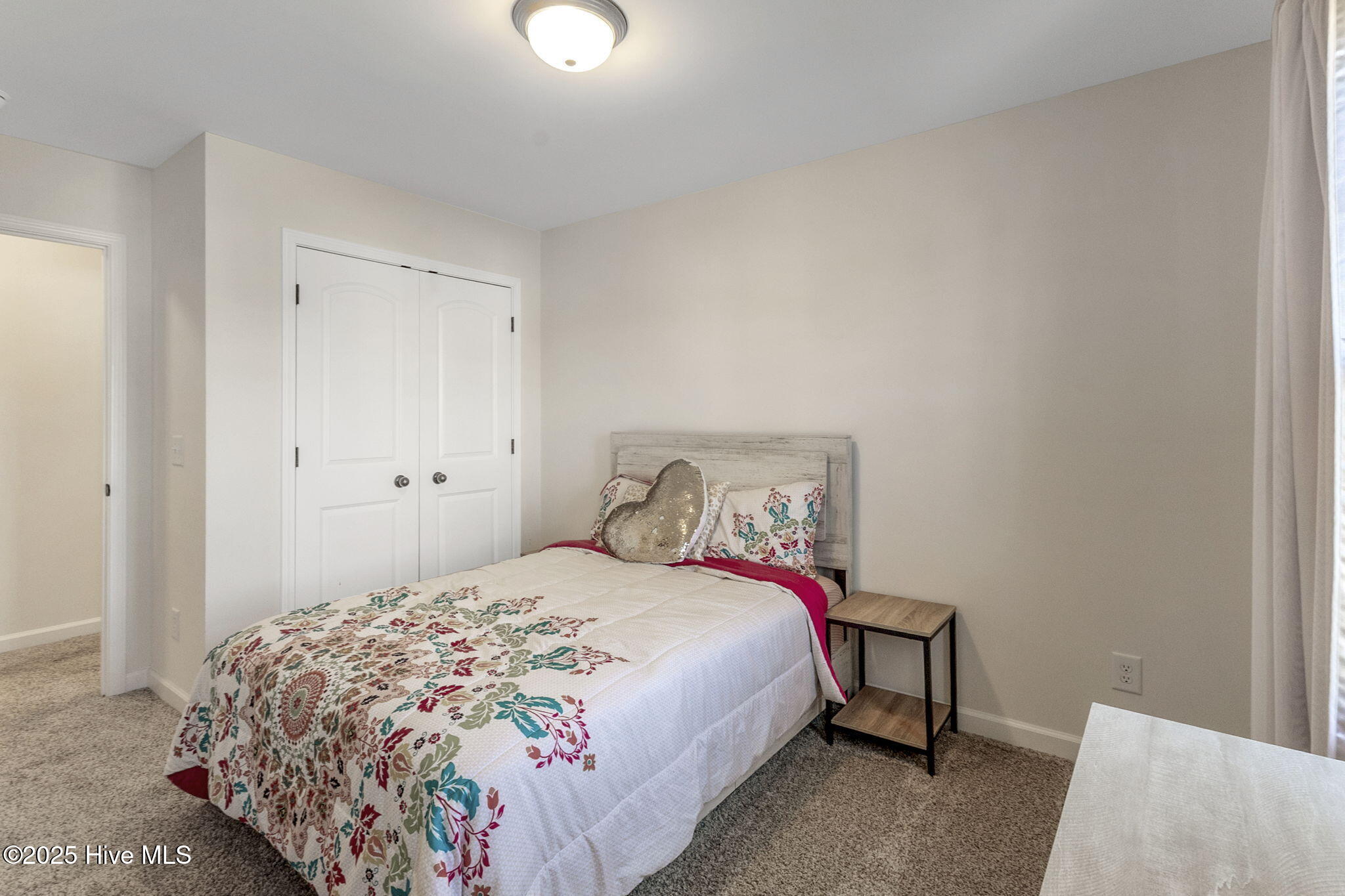 100538262 | Photo 33