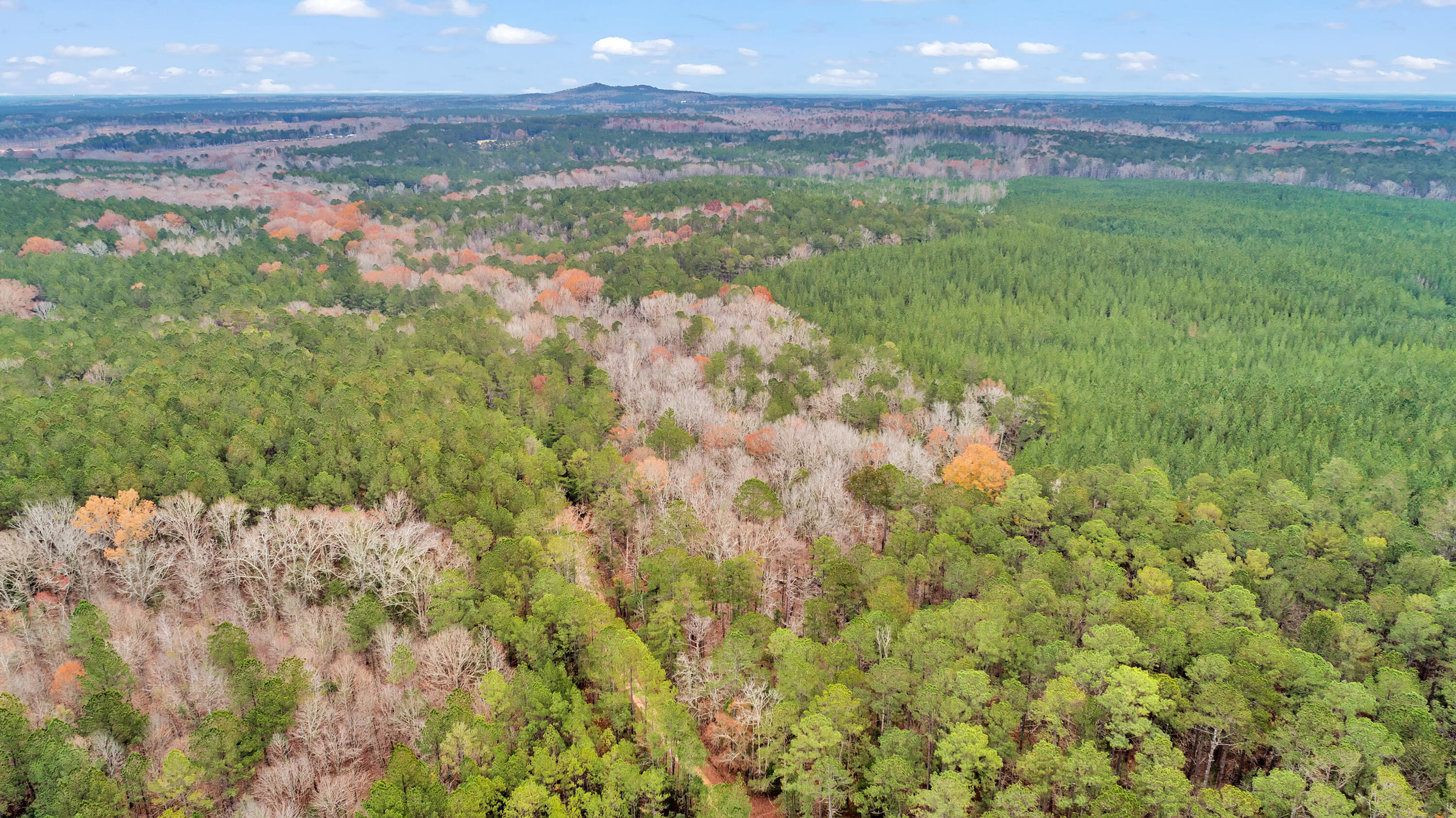 Saggus Rd land 121-007A, 400ft View, Dro