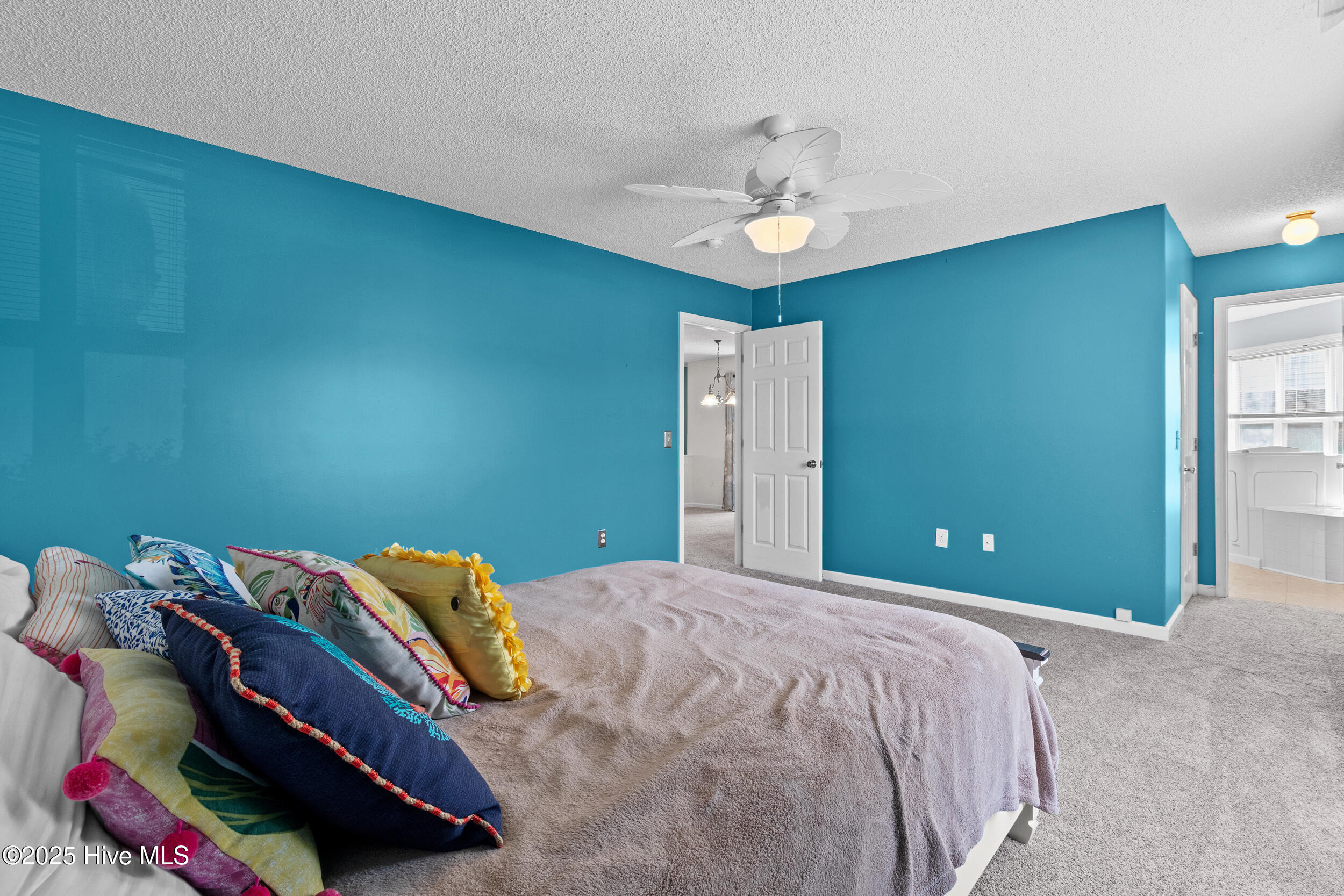 100528795 | Photo 21