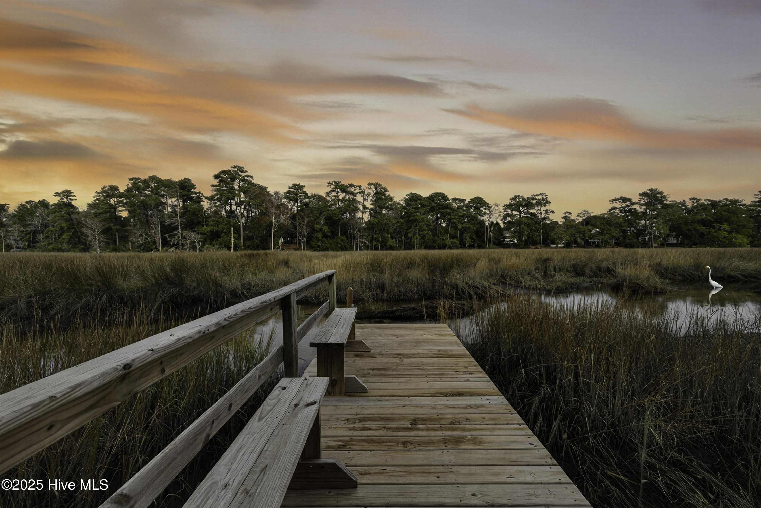 100543749 | Photo 39