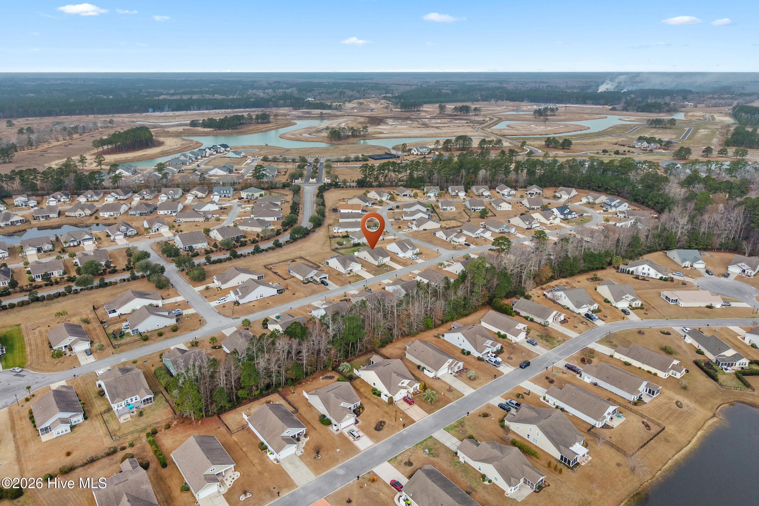 100554987 | Photo 42