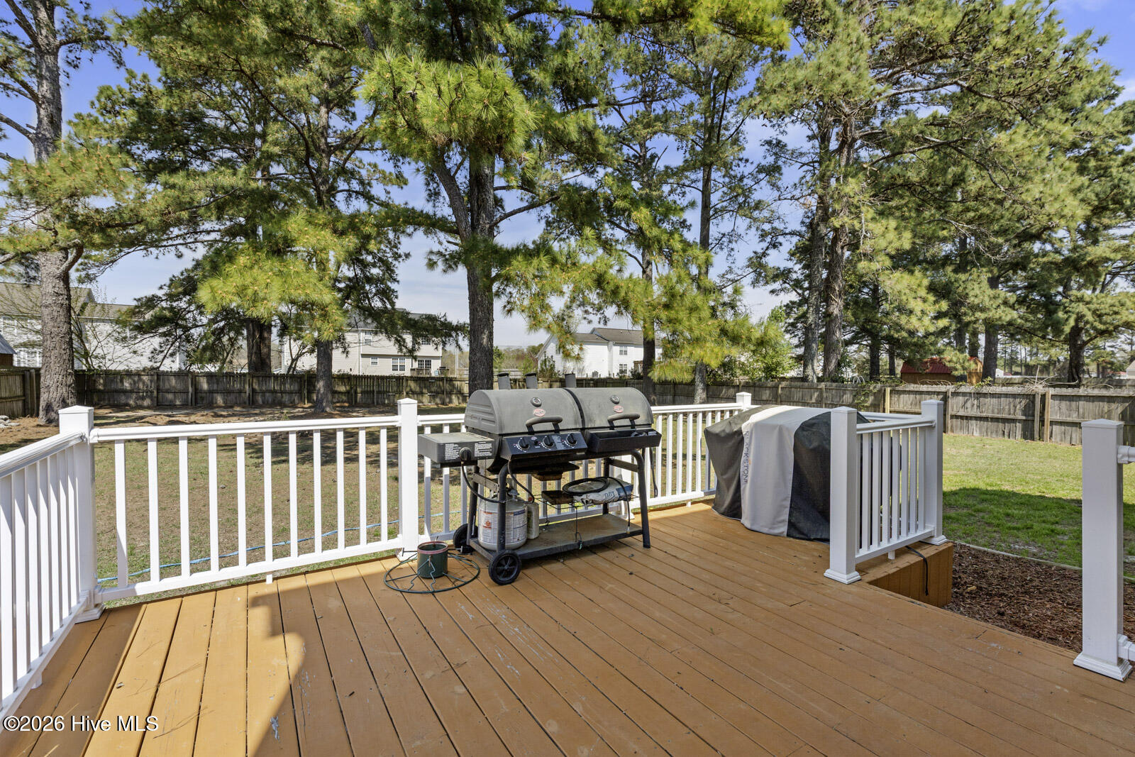 100564296 | Photo 29