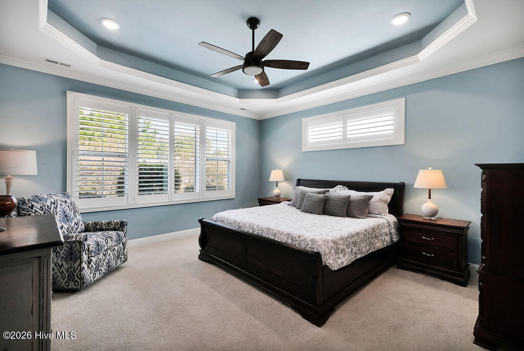 100558721 | Photo 24