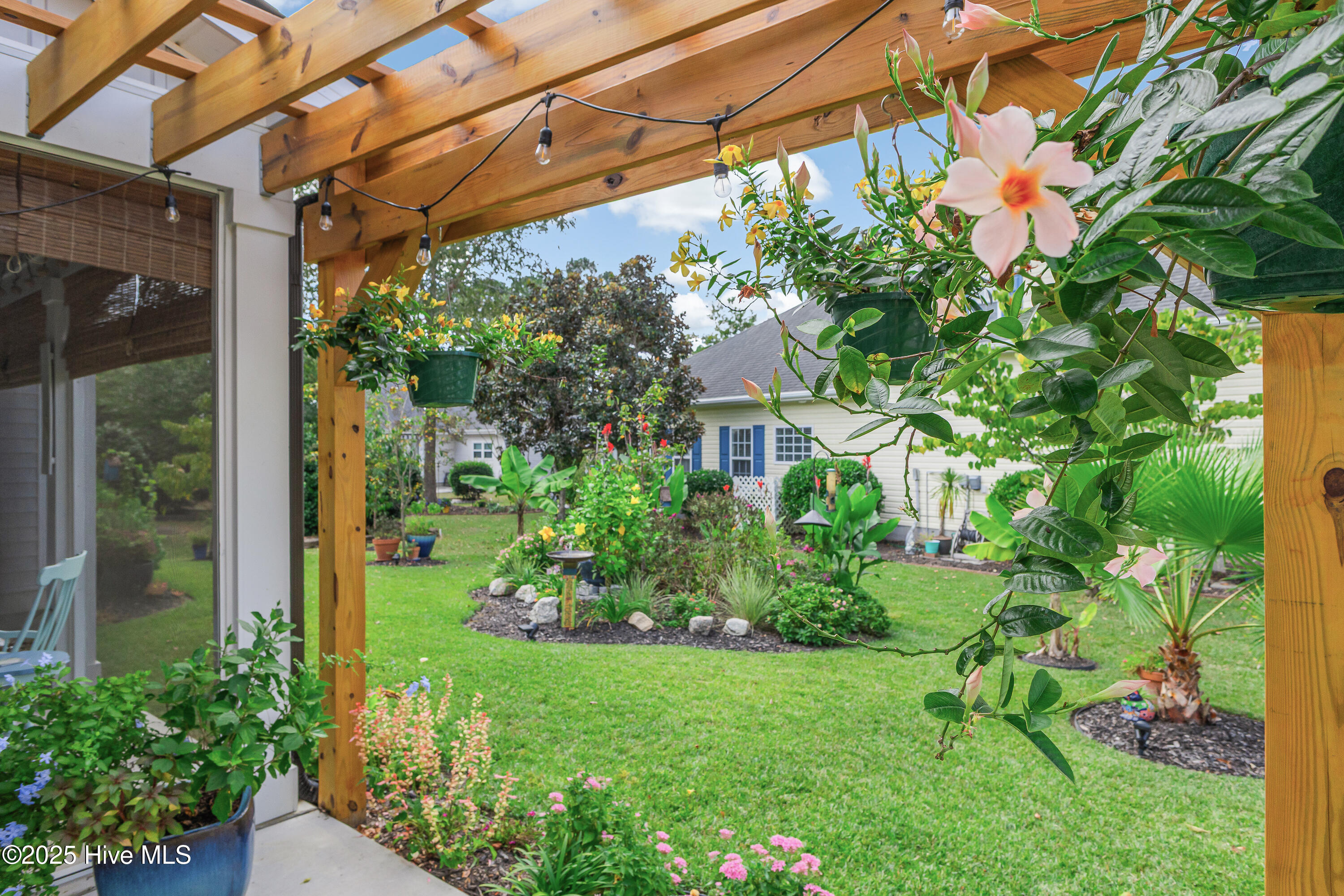 100533188 | Photo 46