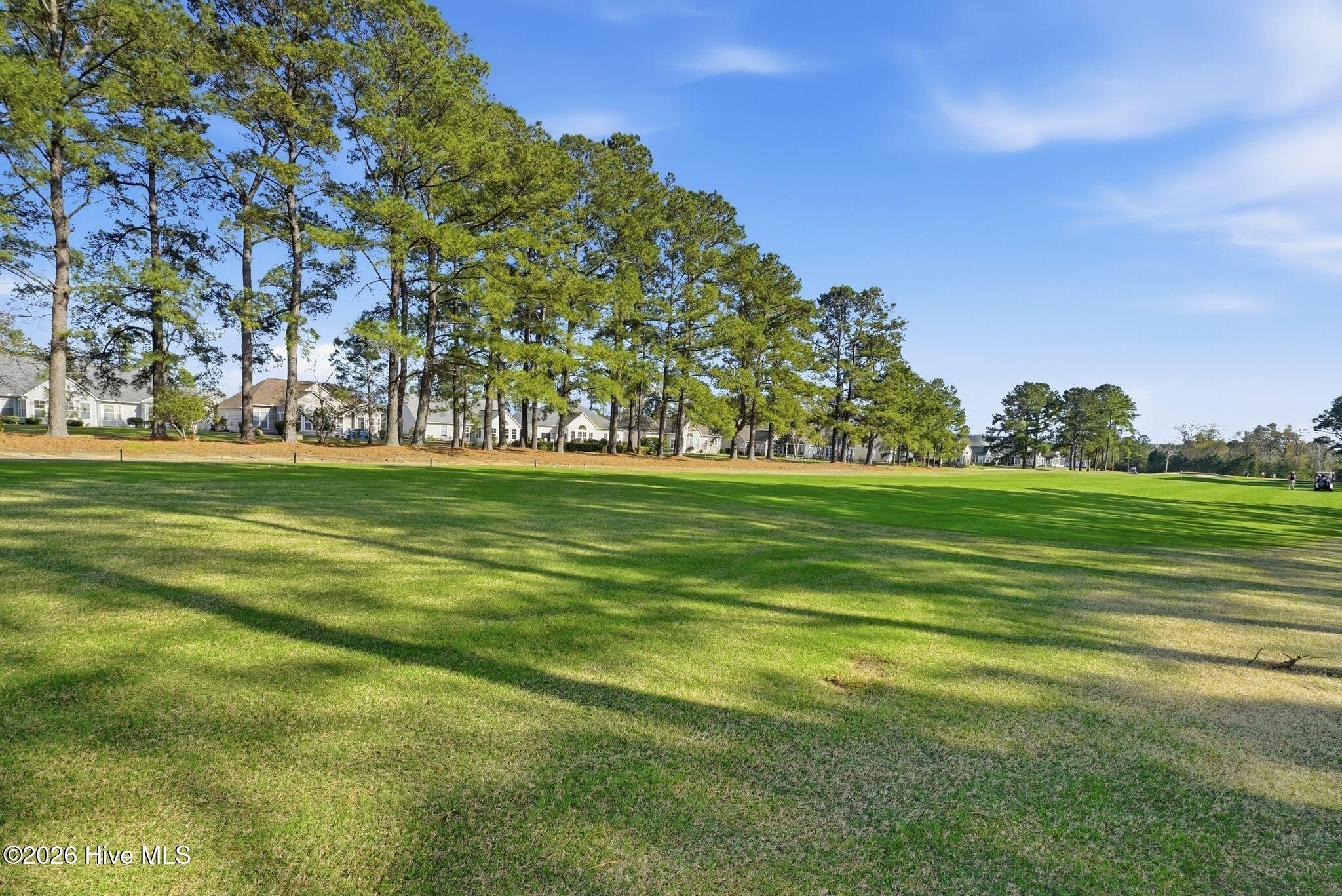 100560639 | Photo 45