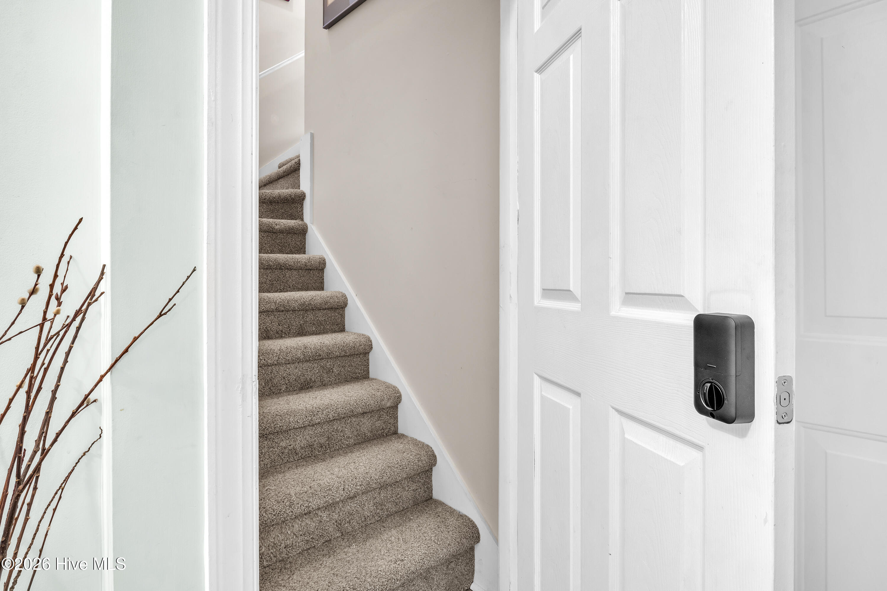 100562137 | Photo 31