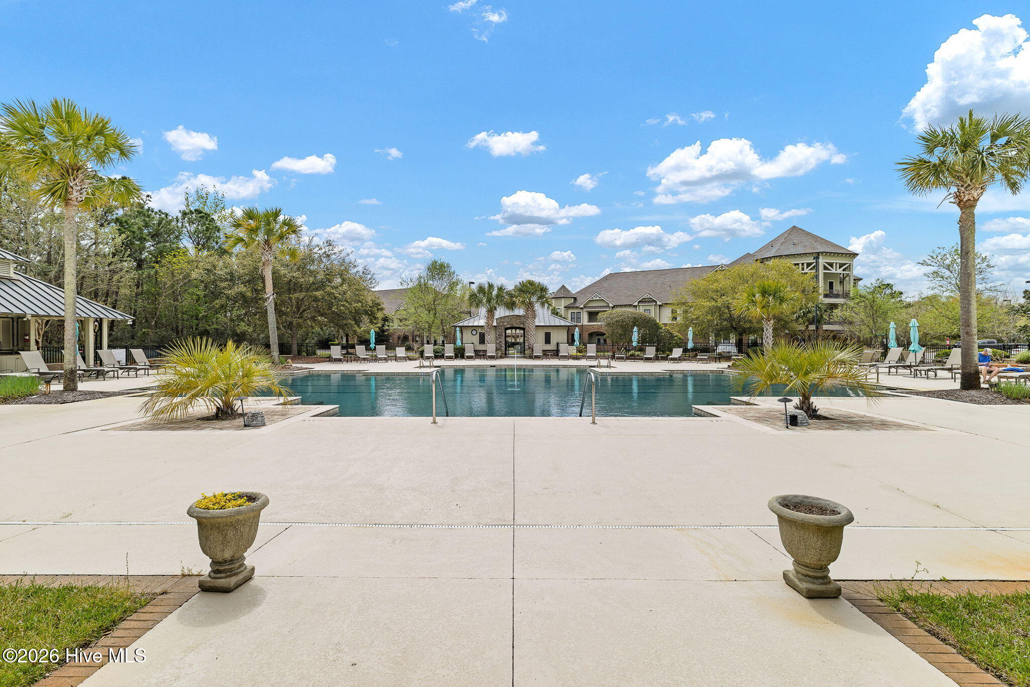 100557806 | Photo 55