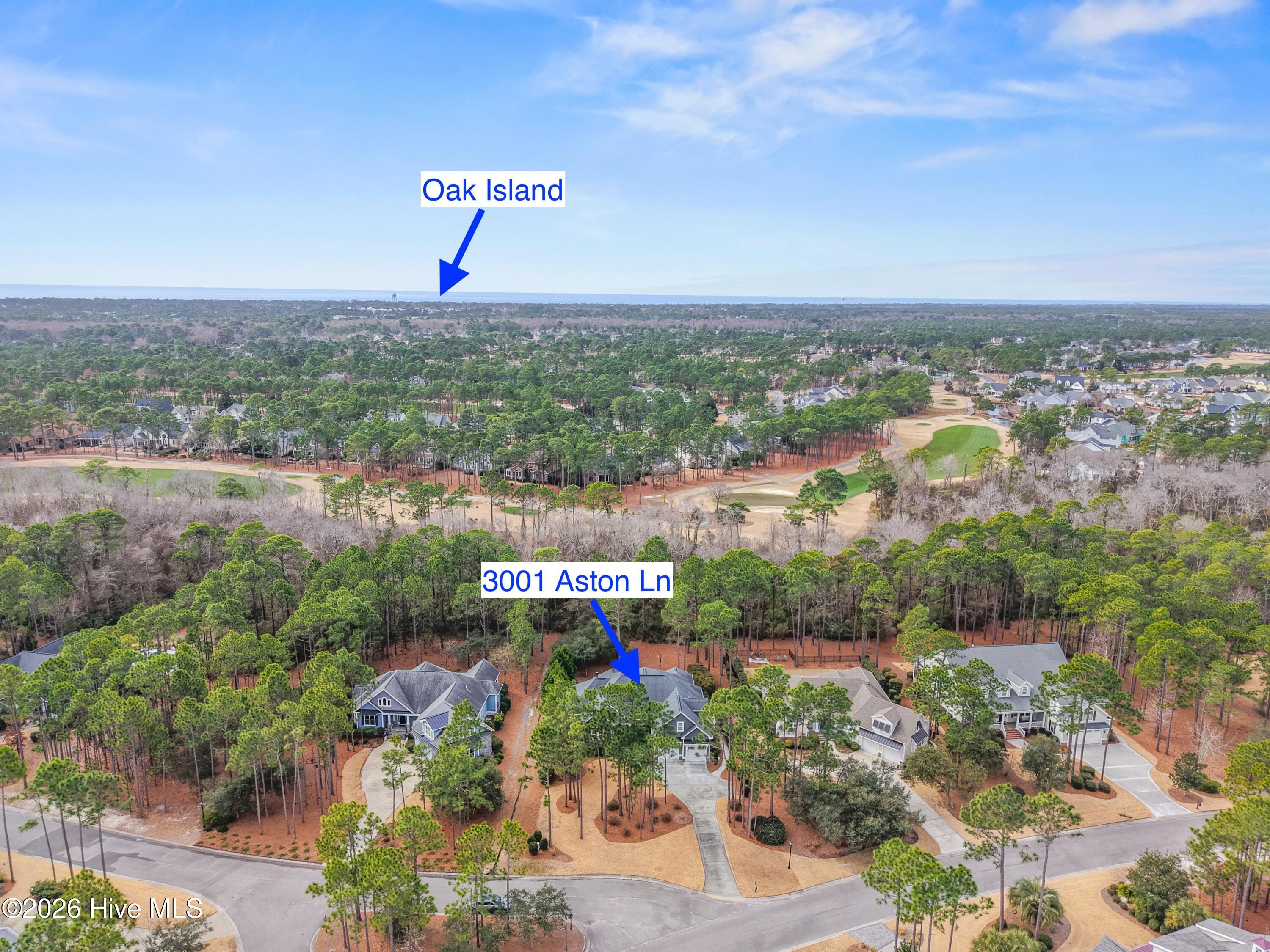 100555606 | Photo 63