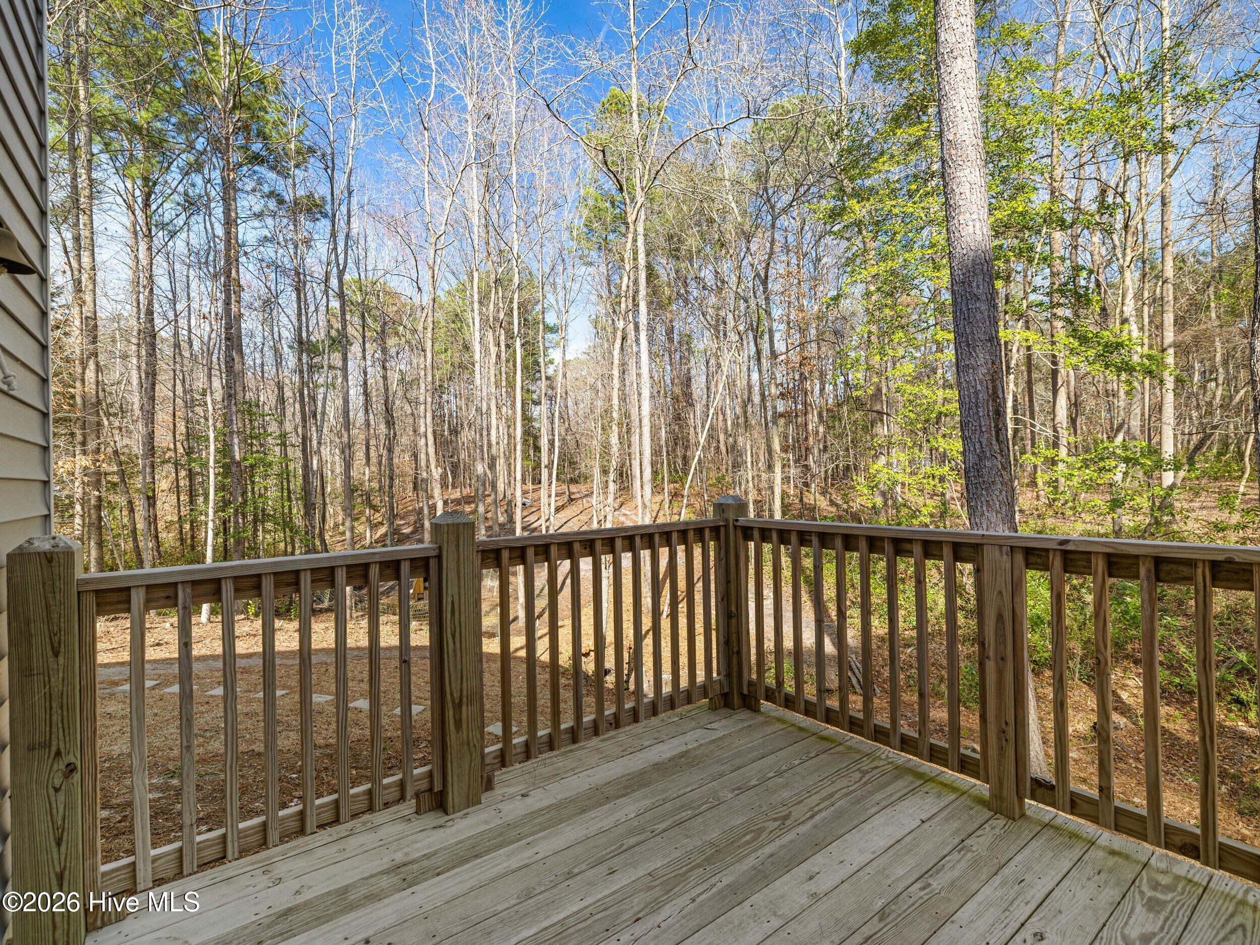 100558735 | Photo 62