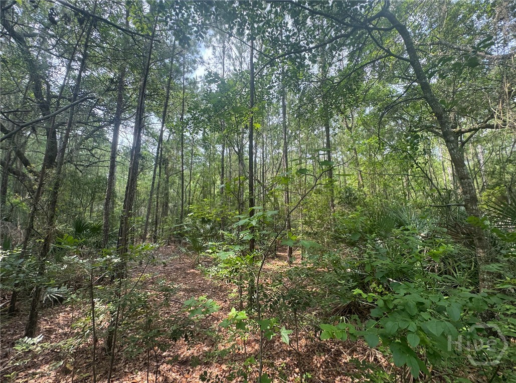 Approx. 1 hr to Savannah or Jax