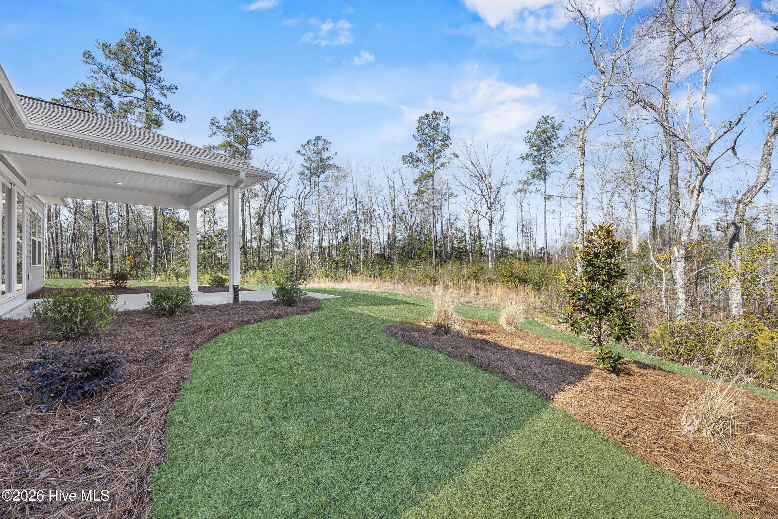 100527053 | Photo 49