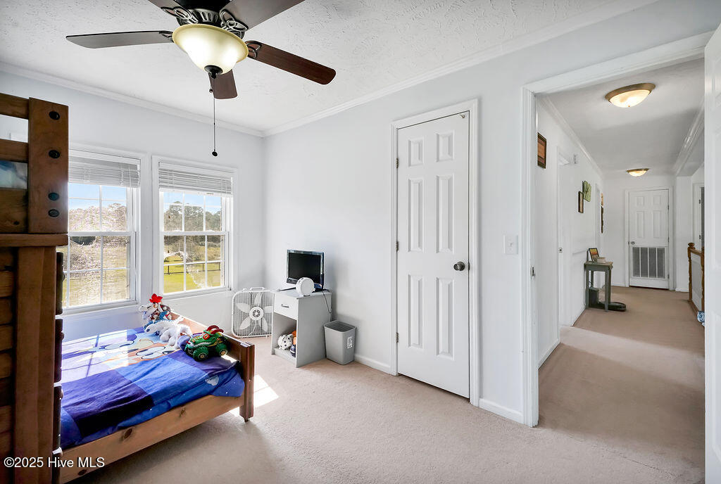 100537845 | Photo 45