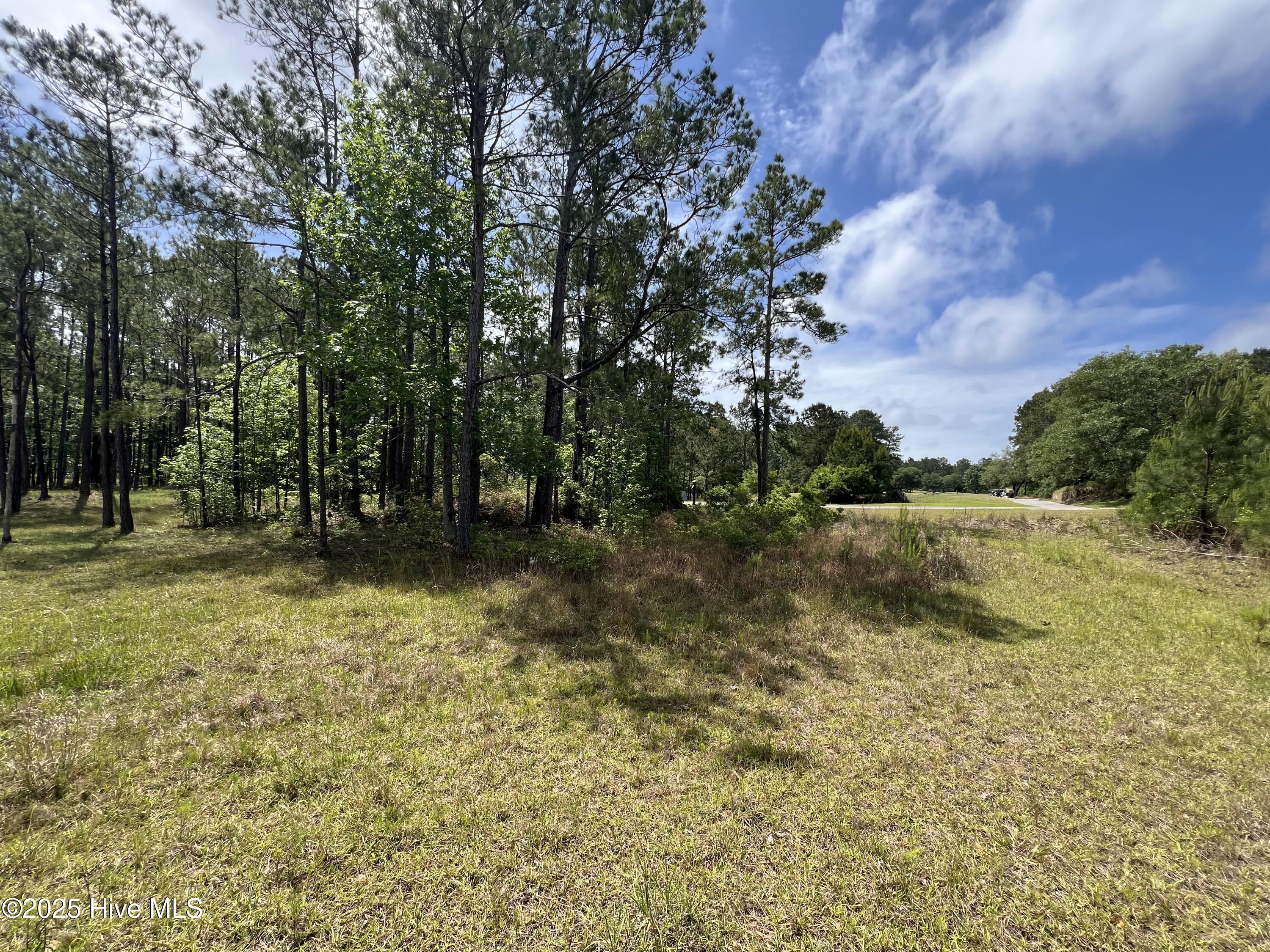 100509687 | Photo 53