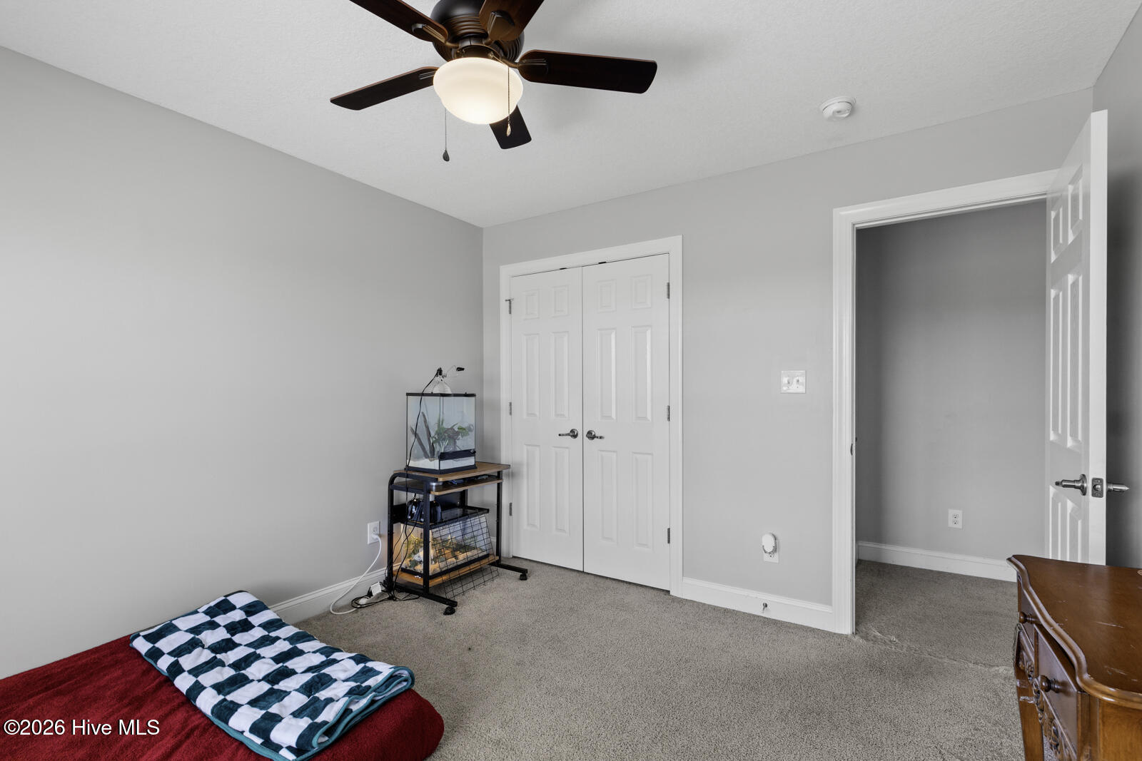 100564788 | Photo 31