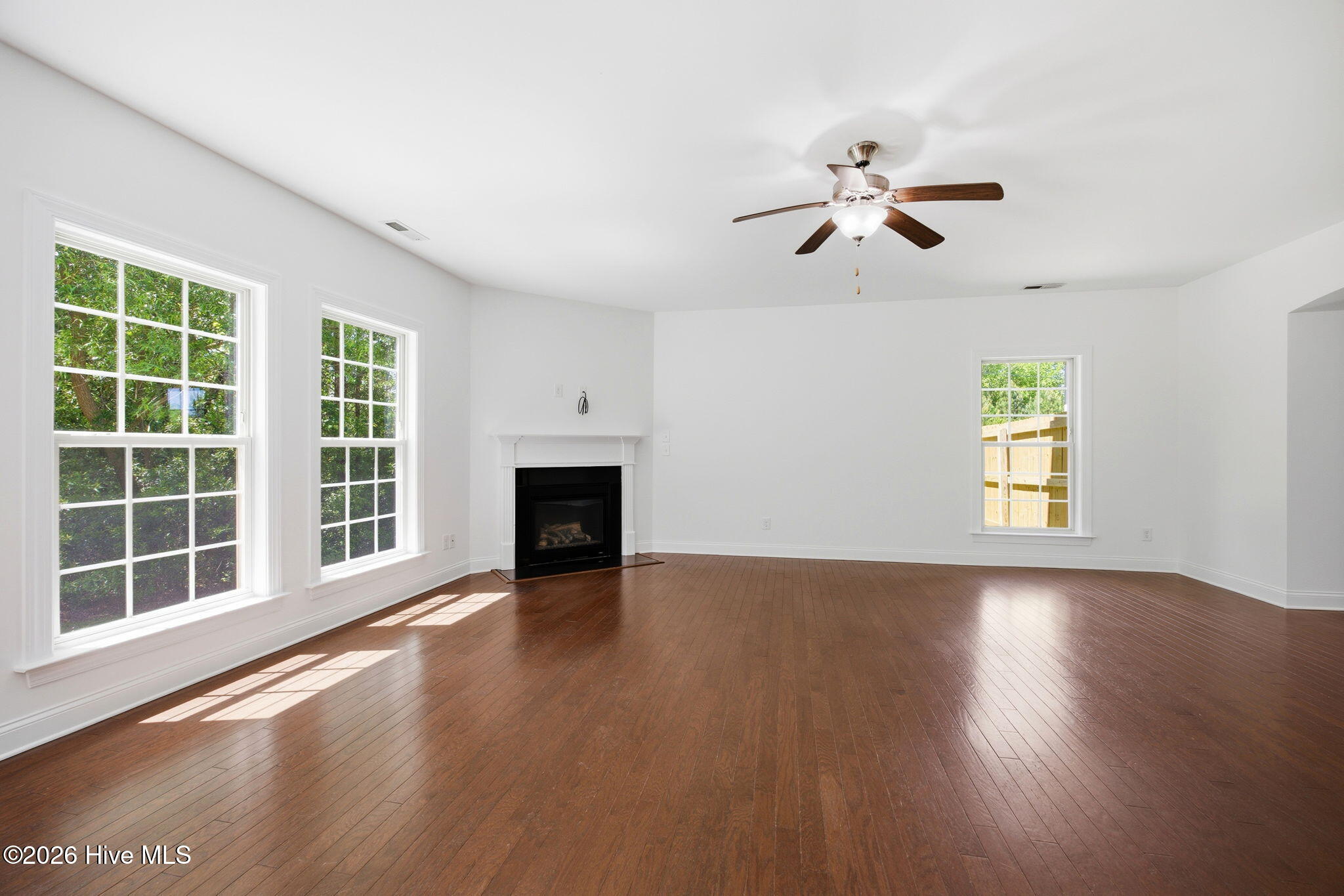 100569504 | Photo 15