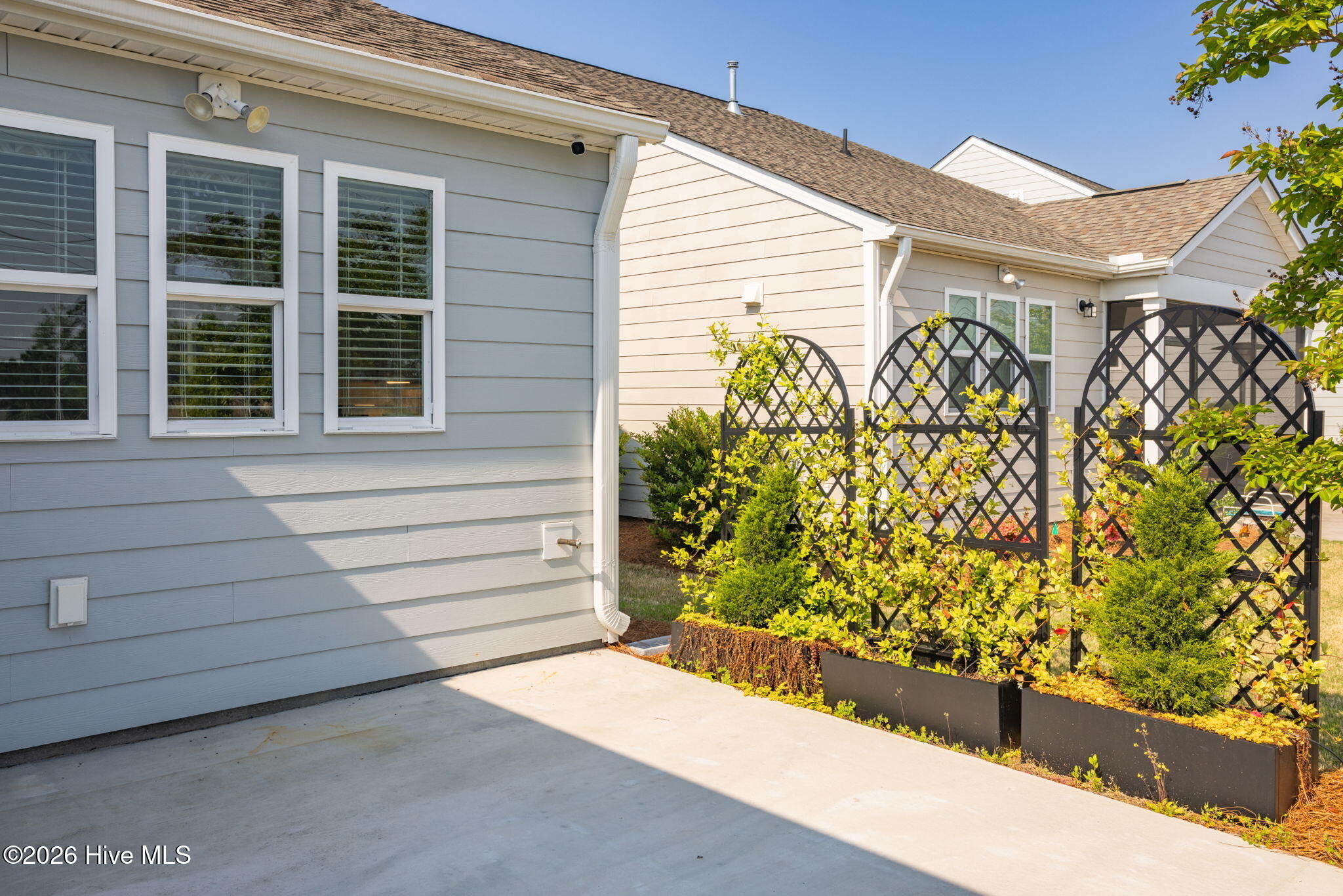 100567732 | Photo 29