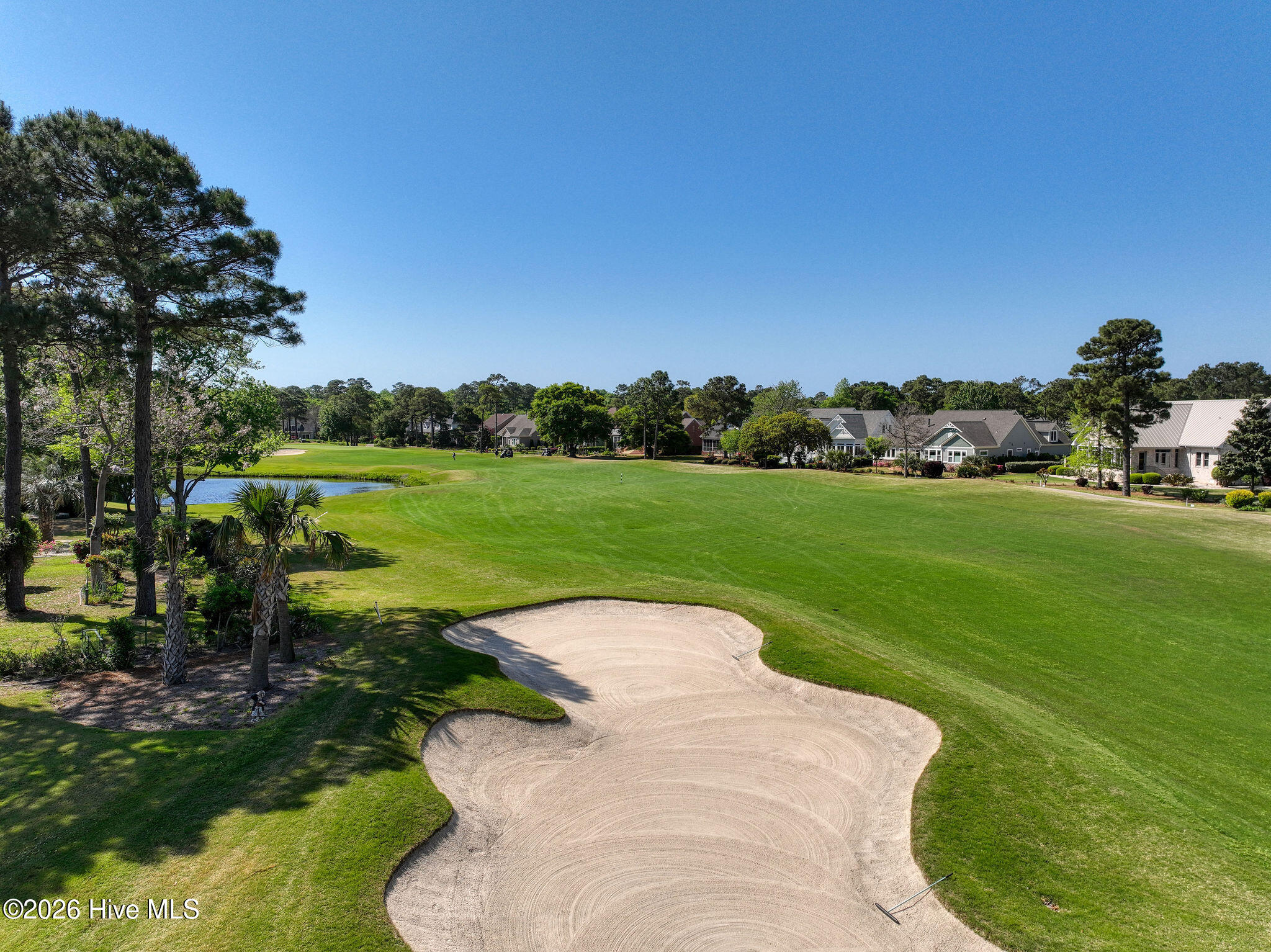 100569152 | Photo 34