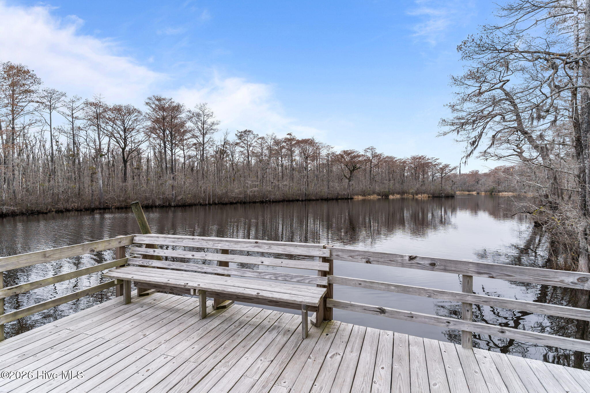 100558259 | Photo 49