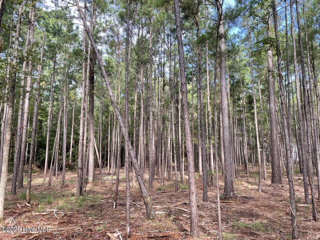 237 Garbacon Drive, Beaufort, NC, 28516