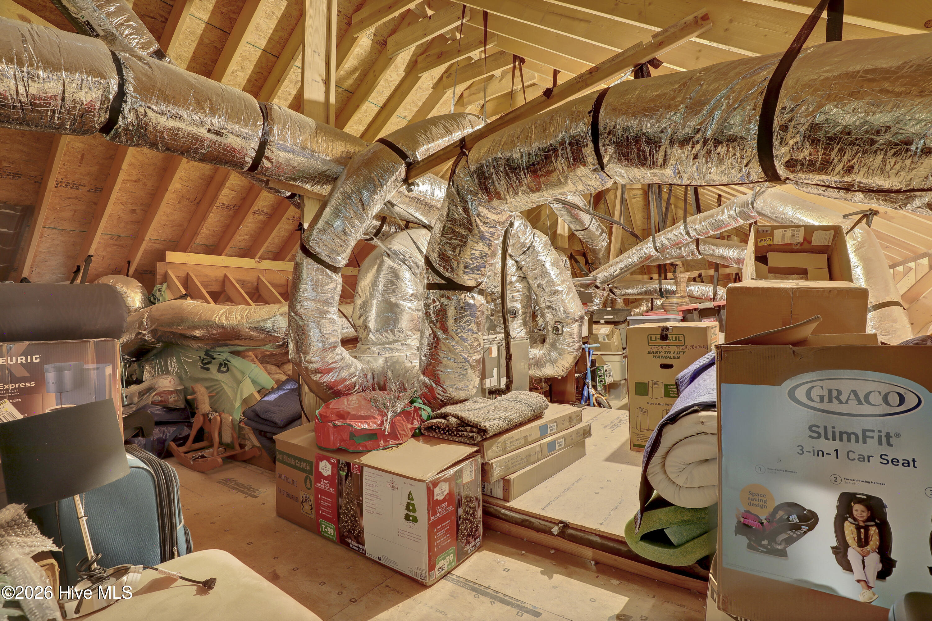 100567366 | Photo 36