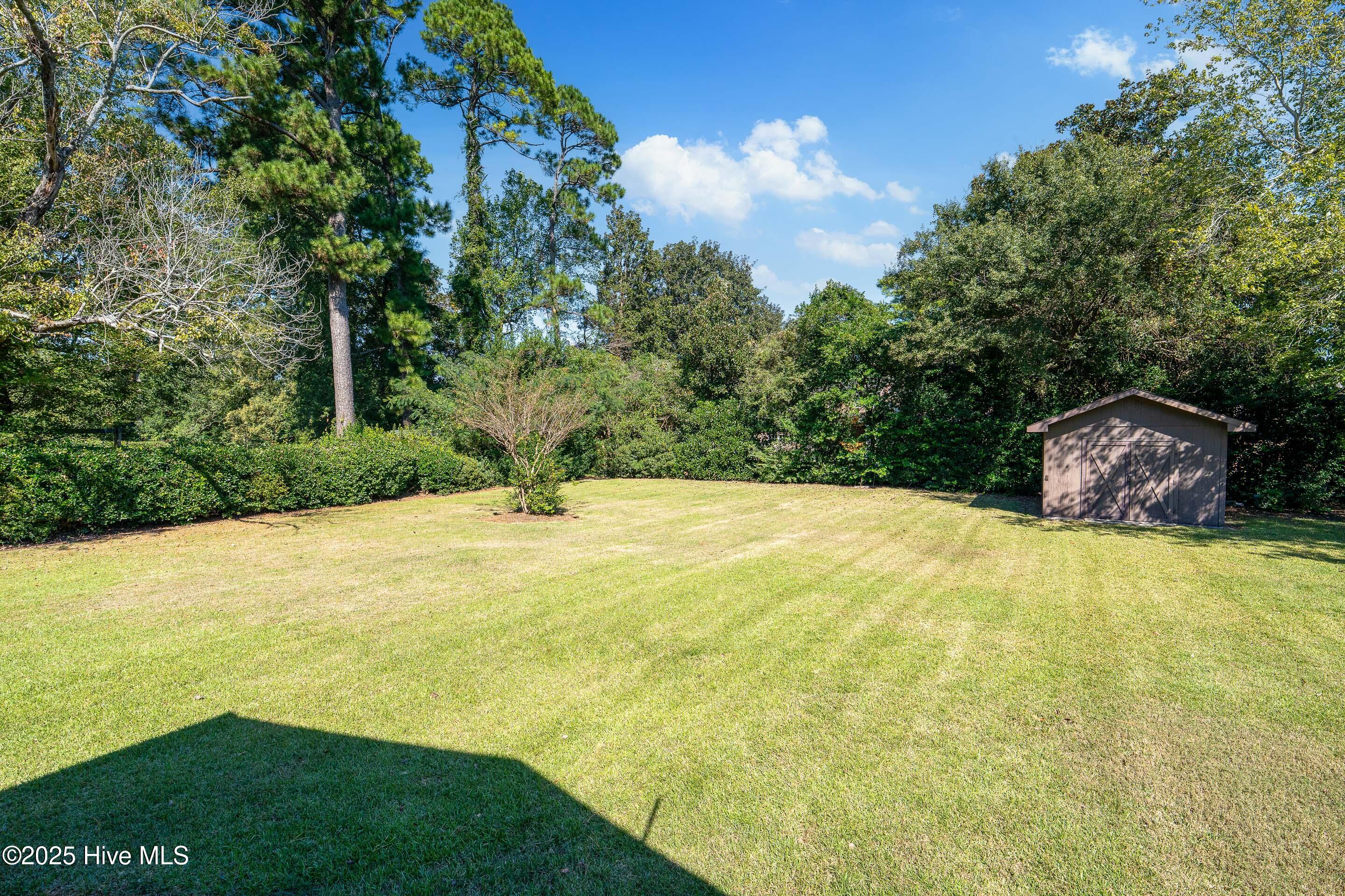 100536869 | Photo 42