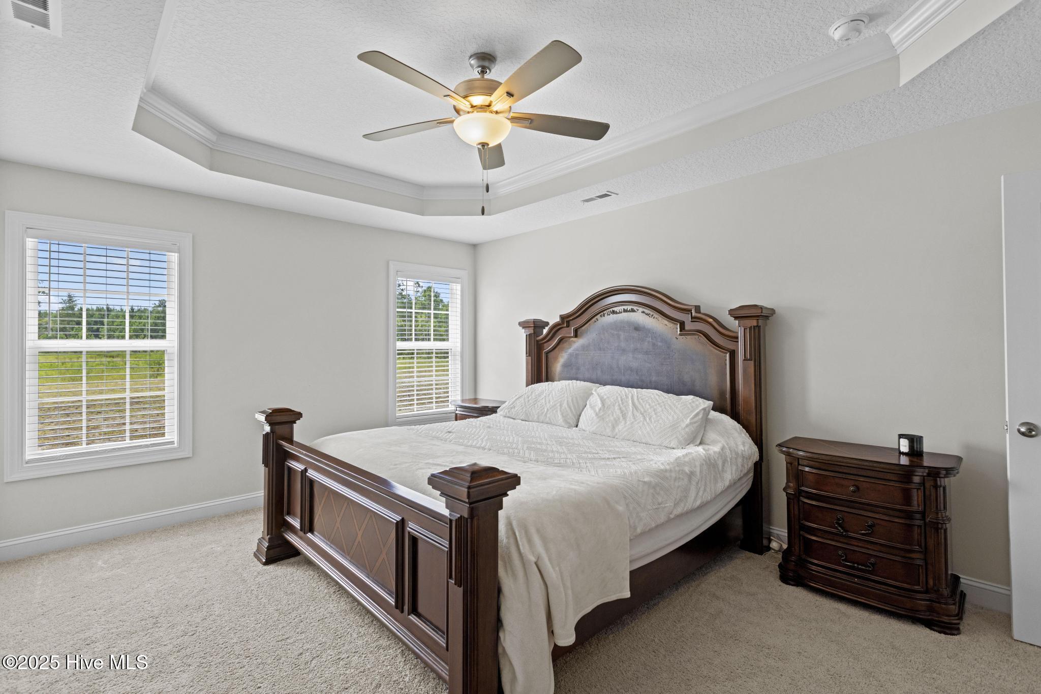 100527988 | Photo 14