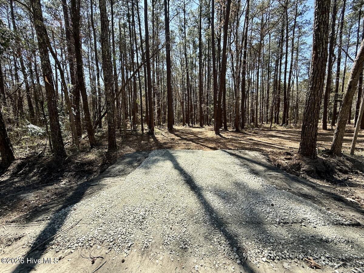 0 Lot 1 Creek Place Road,Arapahoe