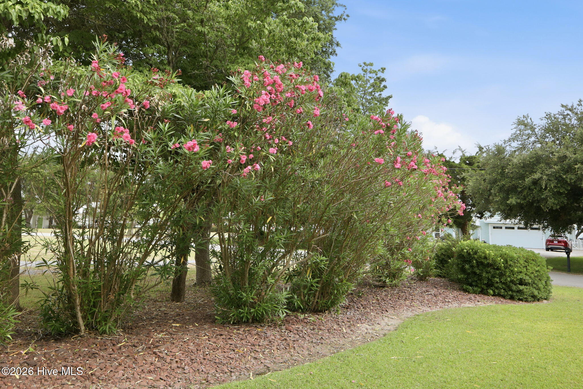 239 Water Oak Drive,Newport